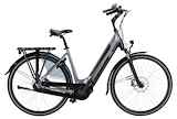 FREEBIKE Madison M200 SV Grey Dames L Dames GRIJS 56cm 2024