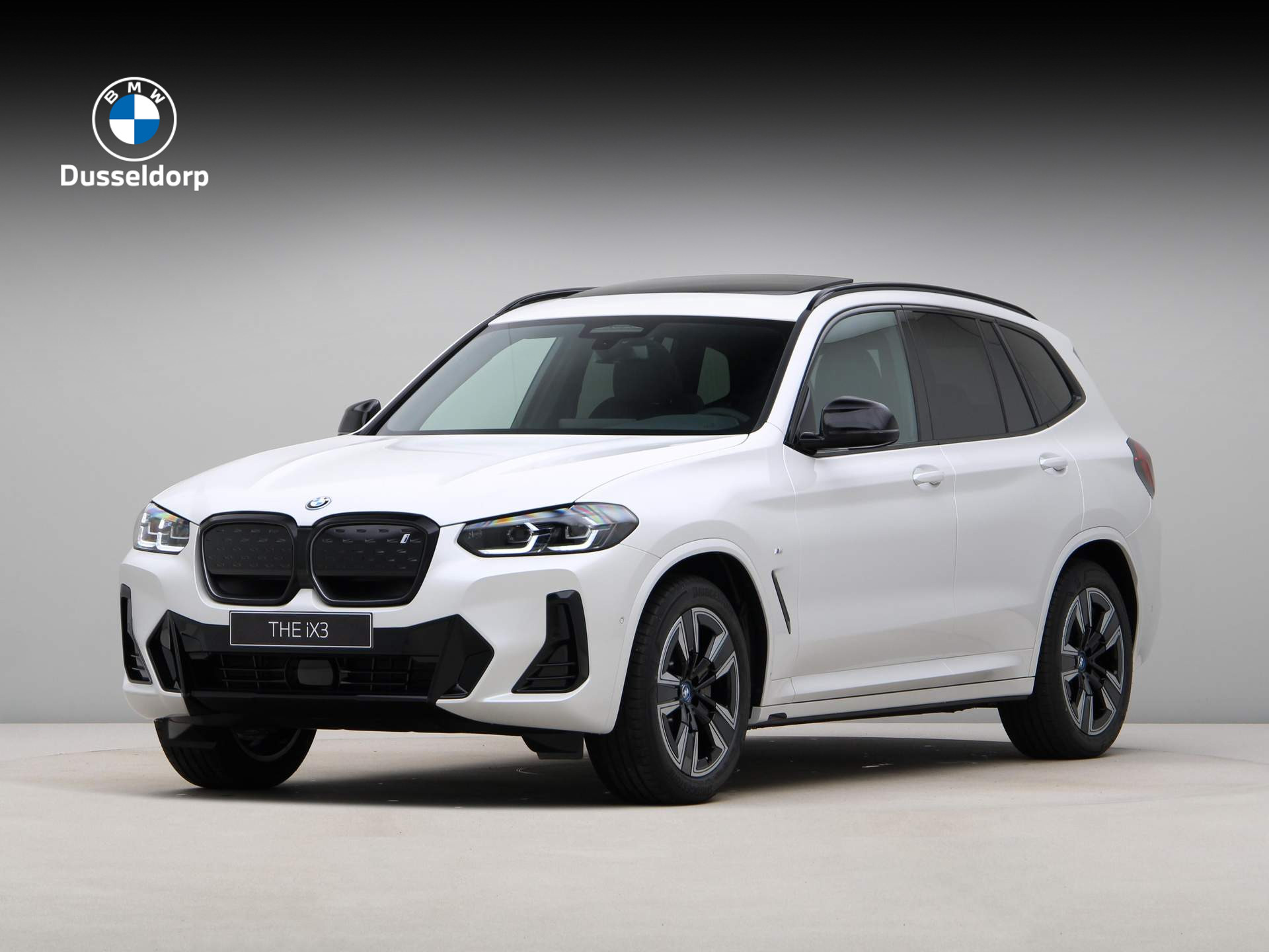 BMW iX3 Executive 80 kWh