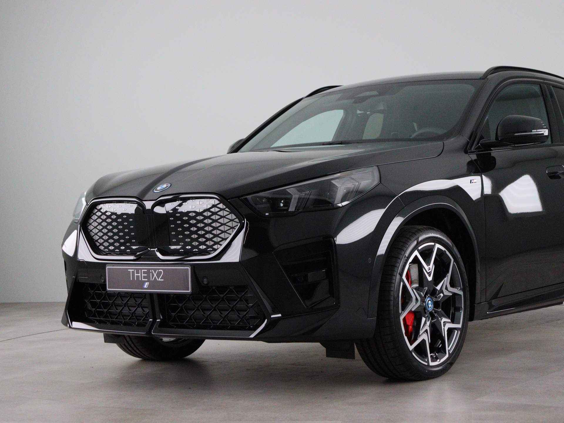 BMW iX2 xDrive30 M Sportpakket Pro - 22/26