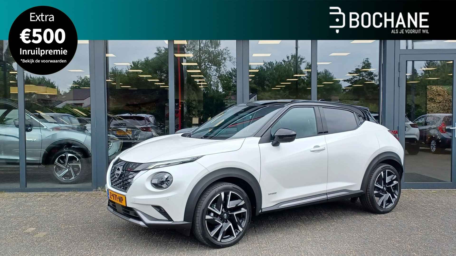 Nissan Juke BOVAG 40-Puntencheck