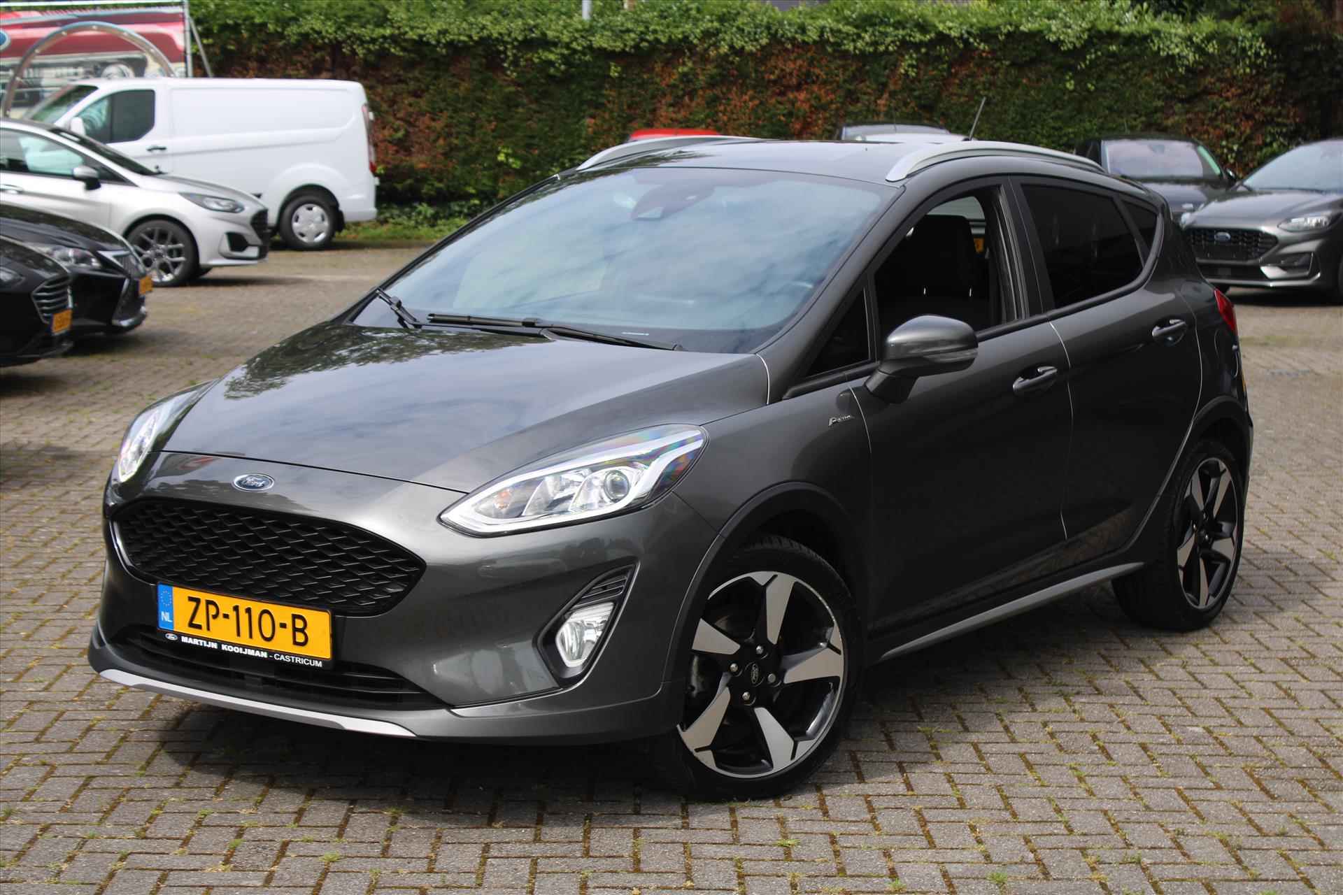 Ford Fiesta BOVAG 40-Puntencheck