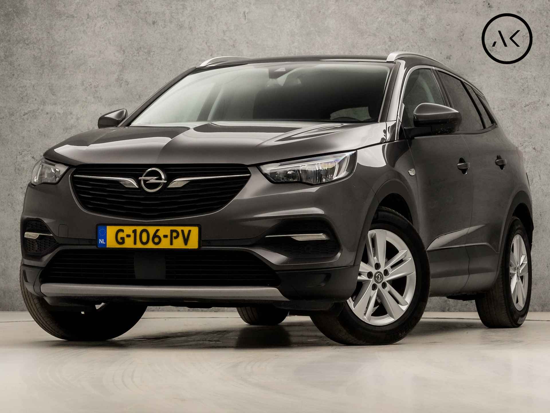 Opel Grandland X BOVAG 40-Puntencheck