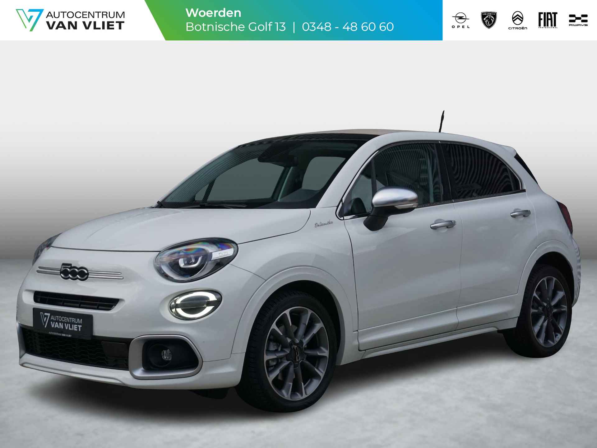 Fiat 500X BOVAG 40-Puntencheck