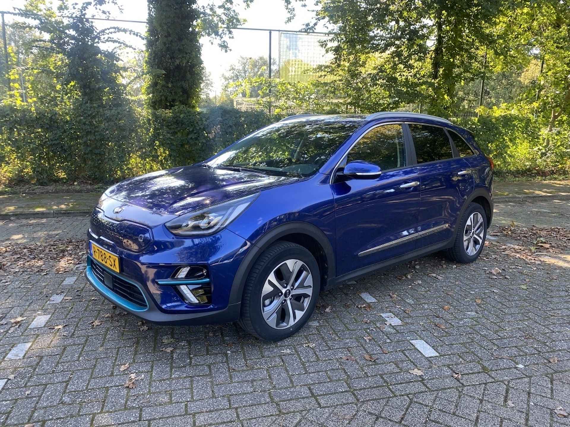 Kia e-Niro BOVAG 40-Puntencheck