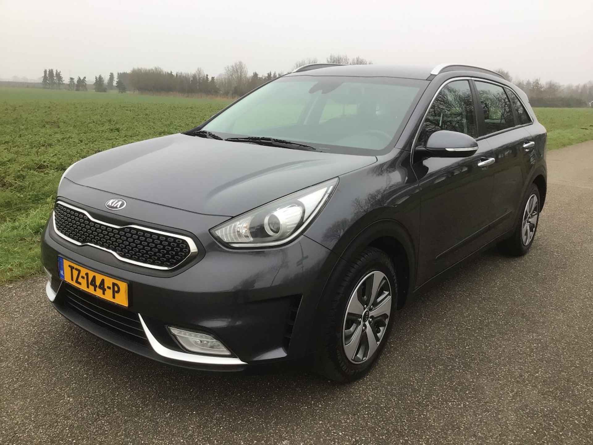 Kia Niro BOVAG 40-Puntencheck