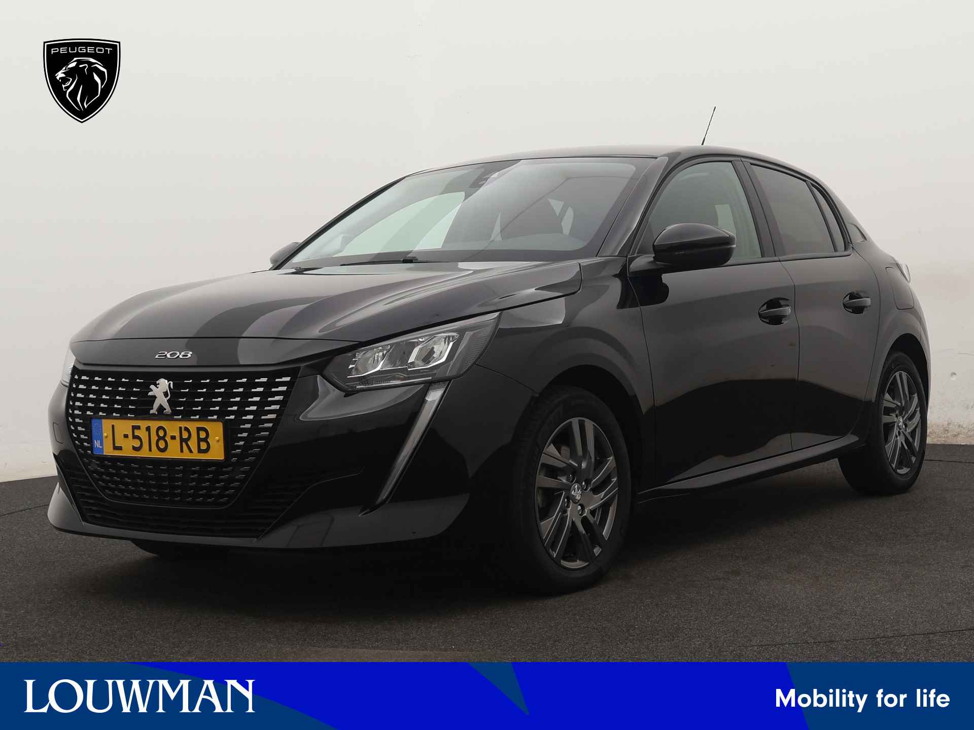 Peugeot 208 BOVAG 40-Puntencheck