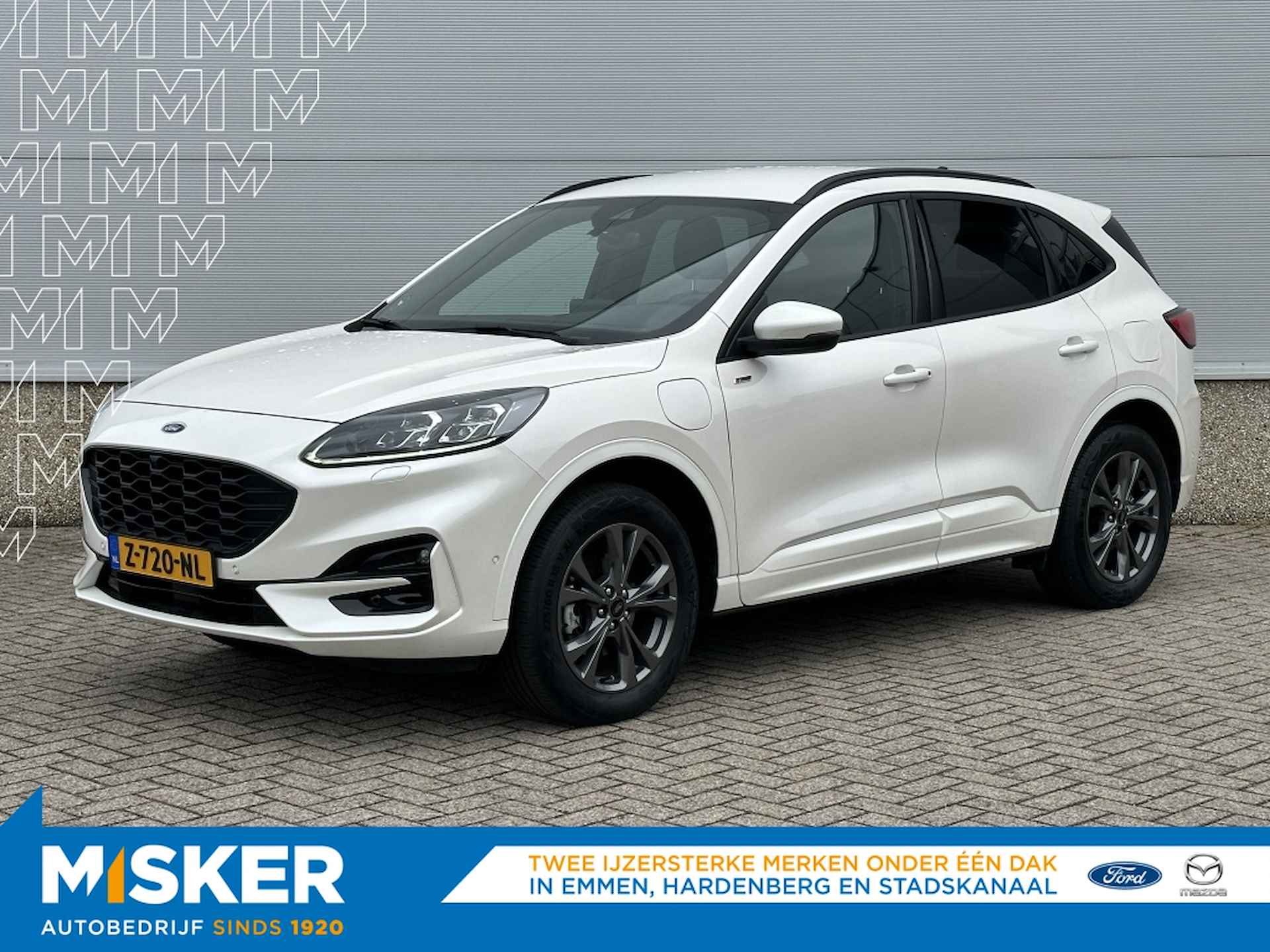 Ford Kuga BOVAG 40-Puntencheck