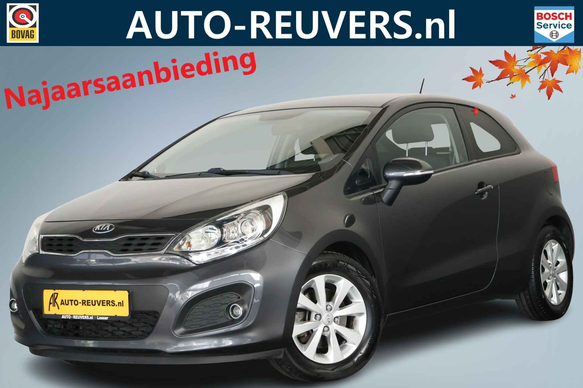 Kia Rio BOVAG 40-Puntencheck