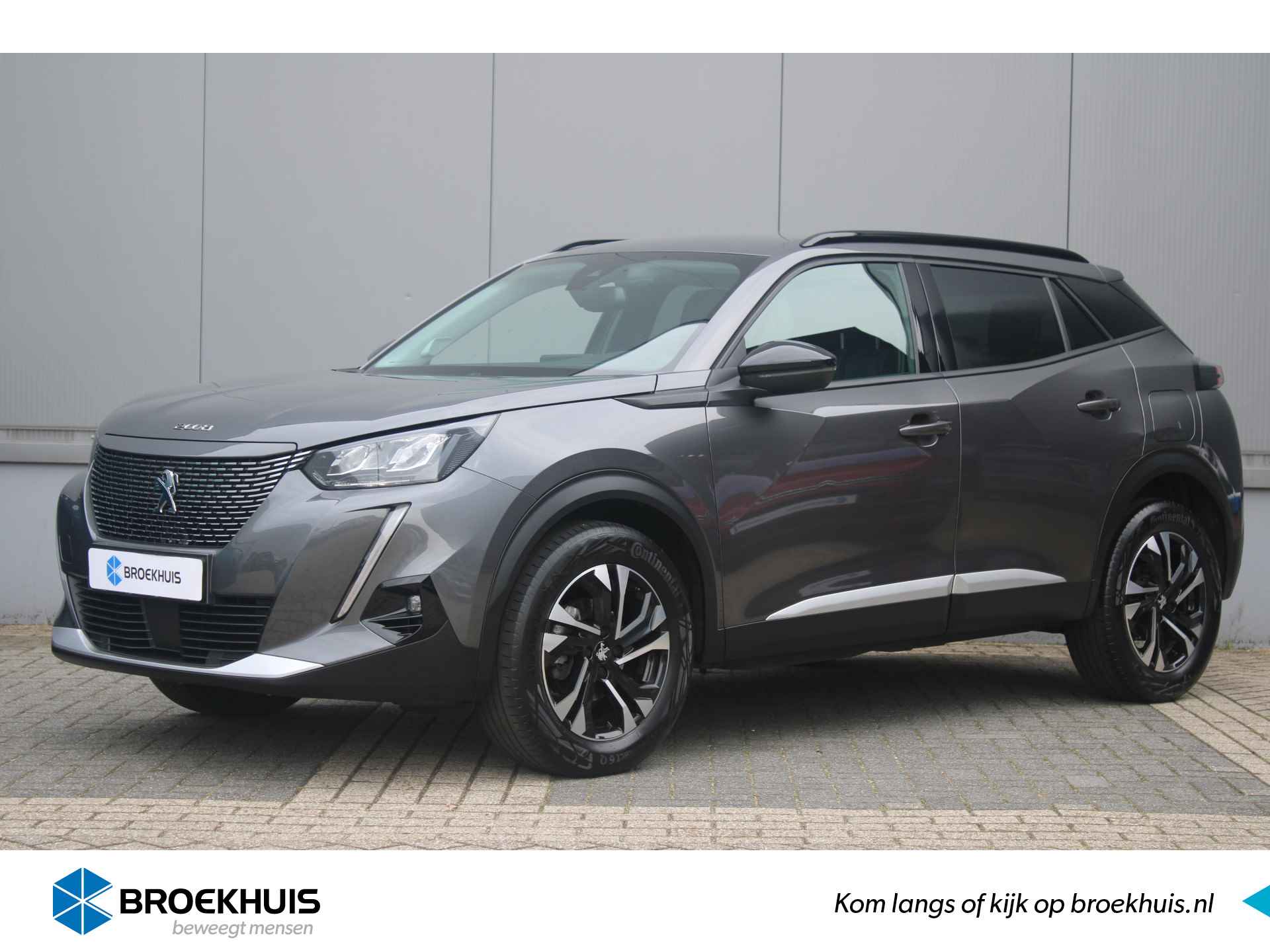 Peugeot 2008 BOVAG 40-Puntencheck