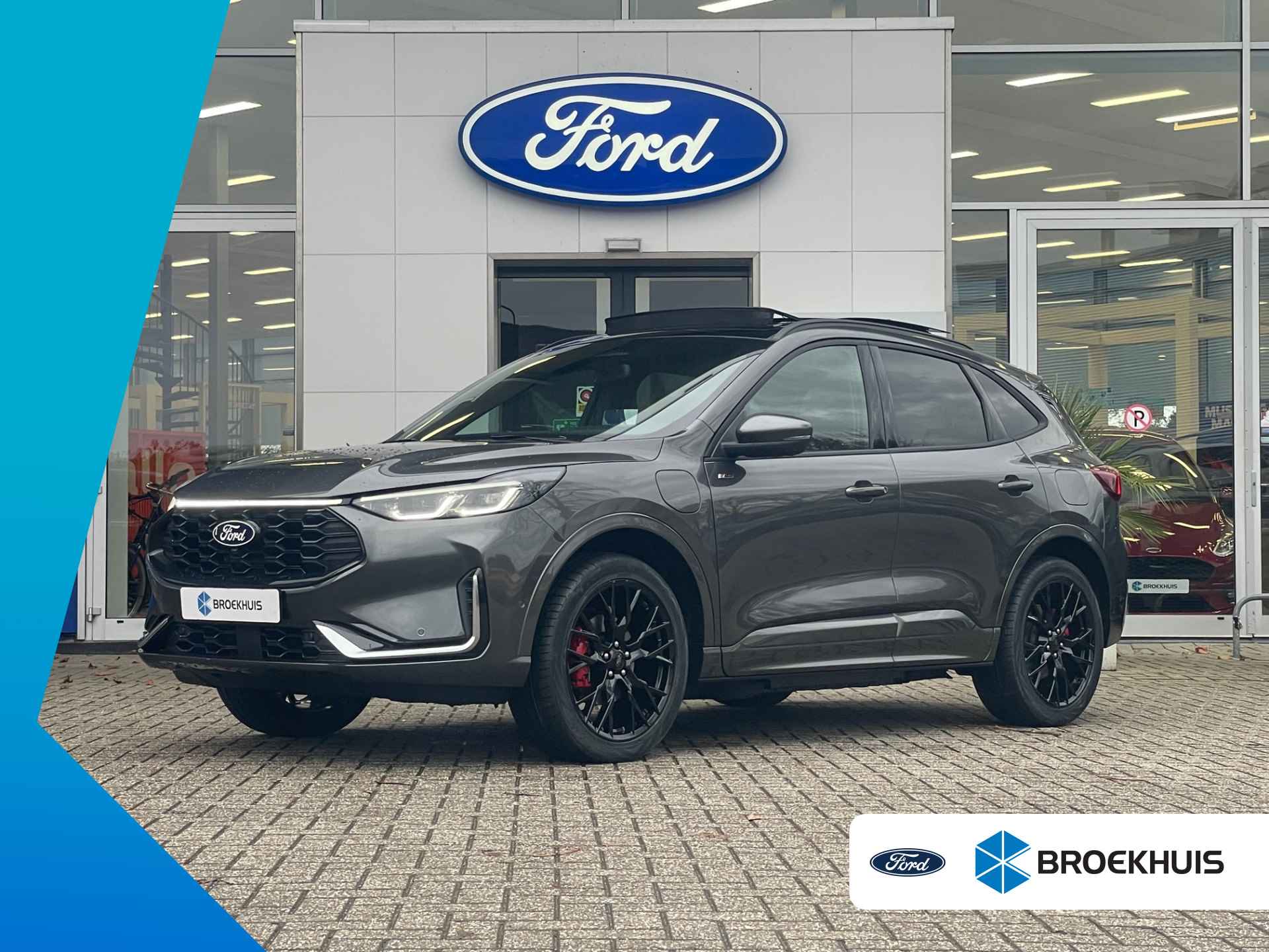 Ford Kuga BOVAG 40-Puntencheck