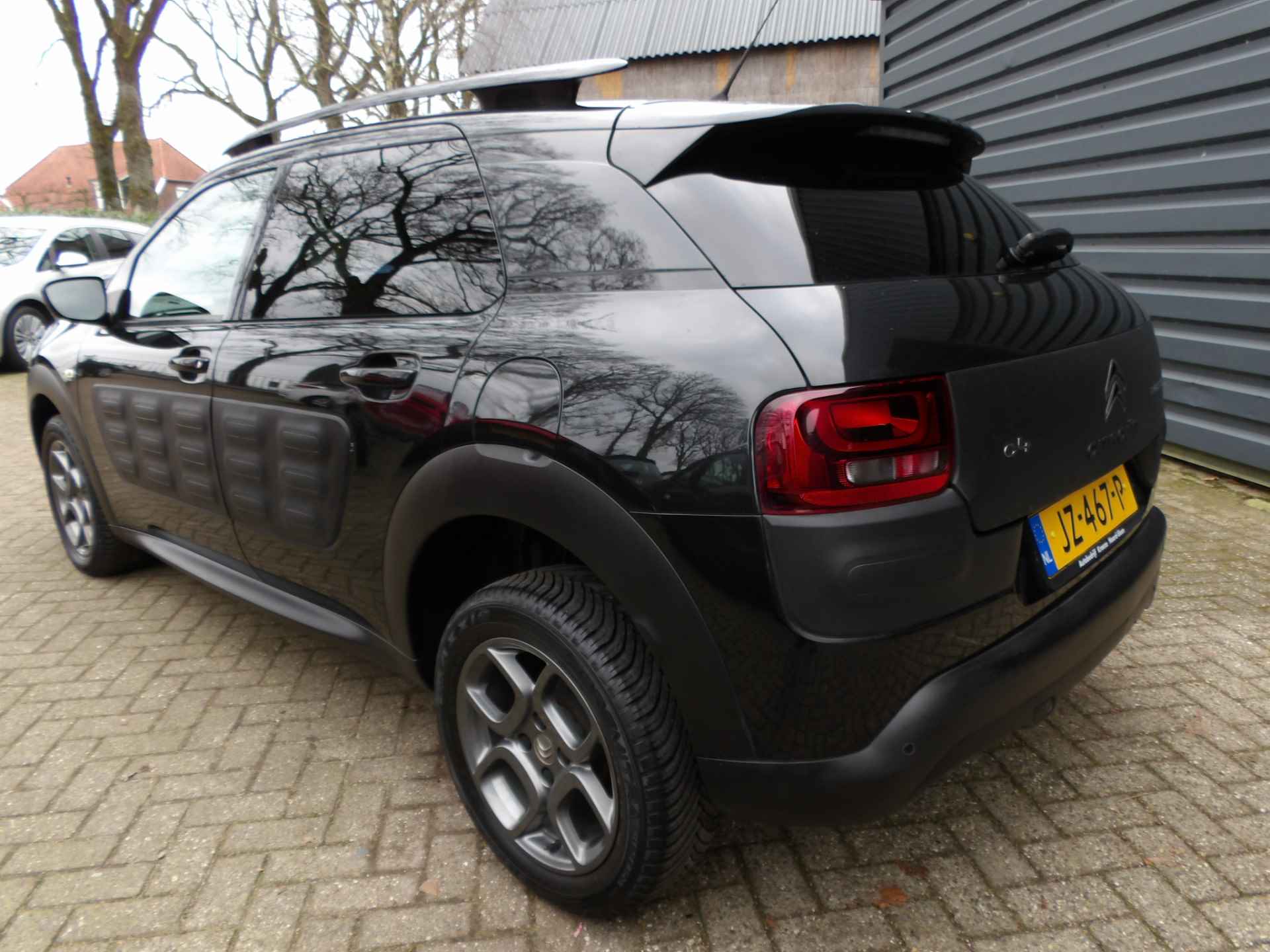 Citroën C4 Cactus 1.2 PureTech Shine Navi Camera Clima PDC Cruise Control - 6/23