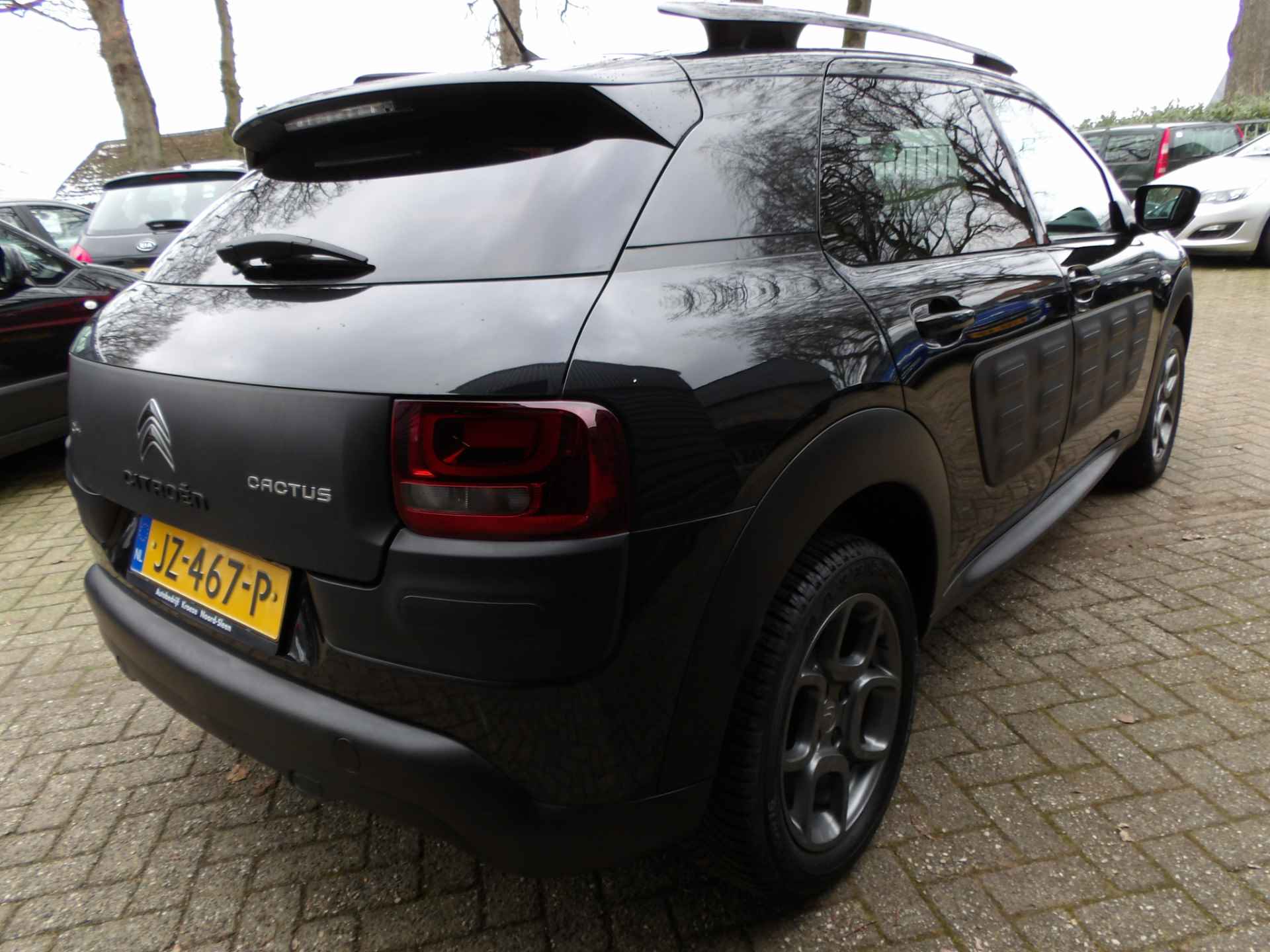 Citroën C4 Cactus 1.2 PureTech Shine Navi Camera Clima PDC Cruise Control - 10/23