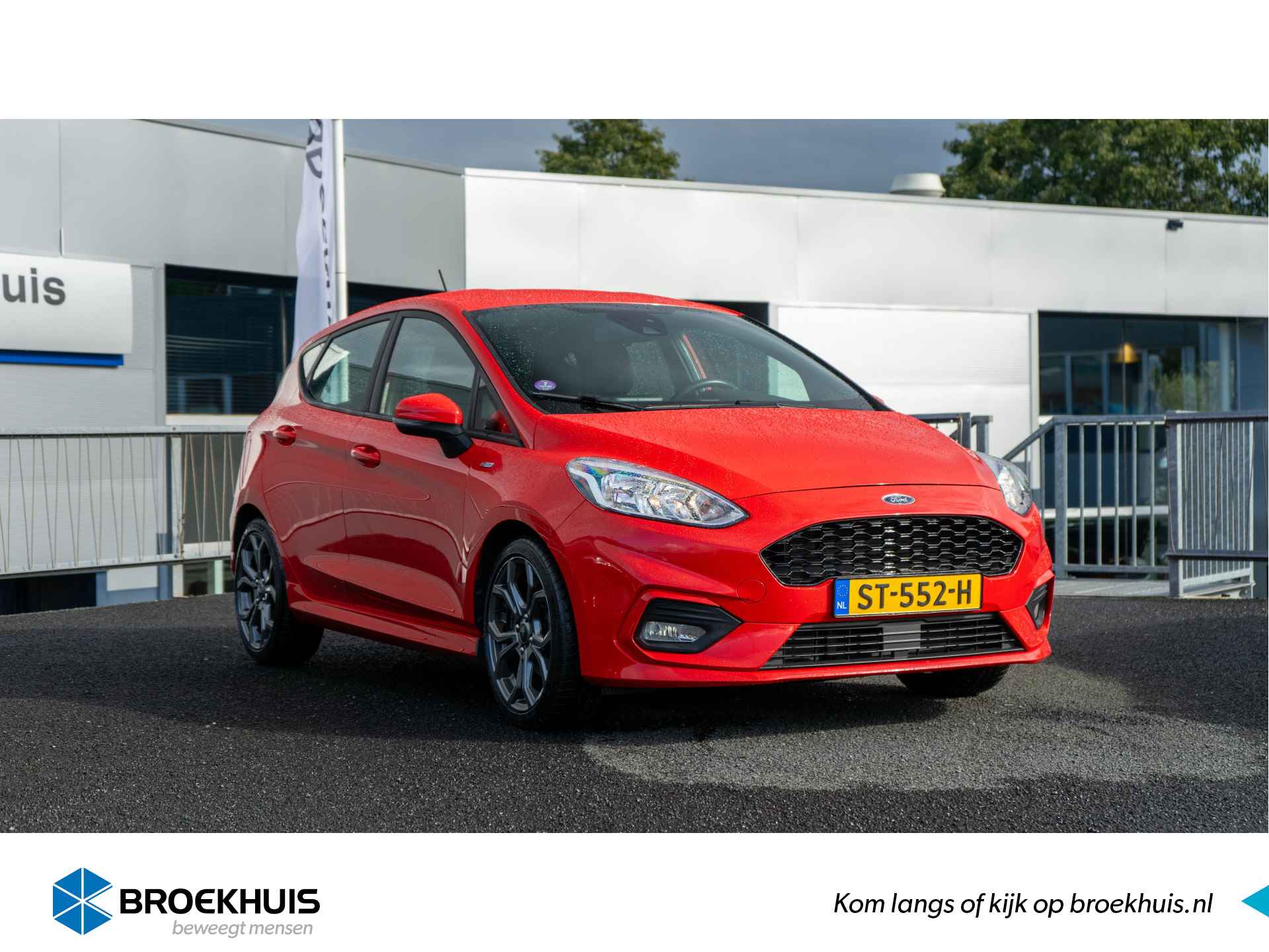 Ford Fiesta BOVAG 40-Puntencheck