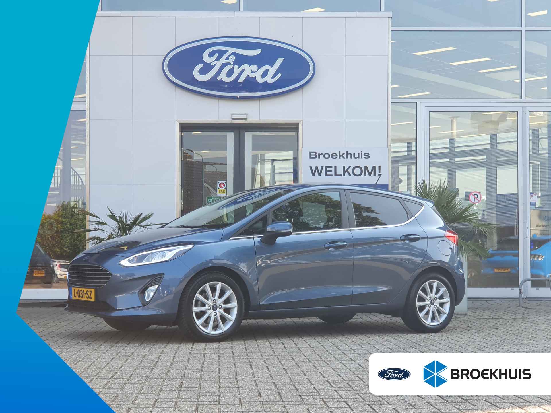 Ford Fiesta BOVAG 40-Puntencheck