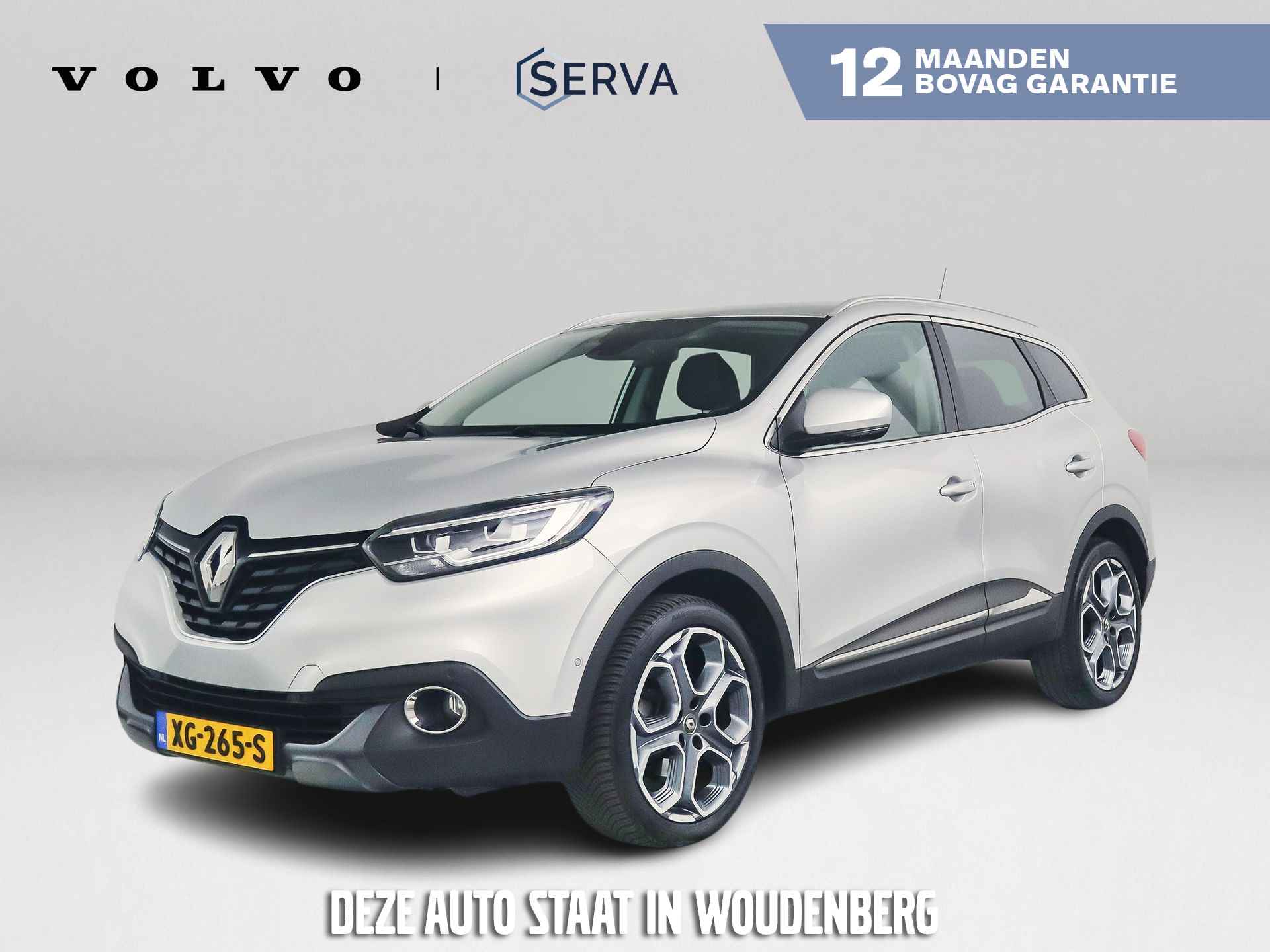 Renault Kadjar BOVAG 40-Puntencheck