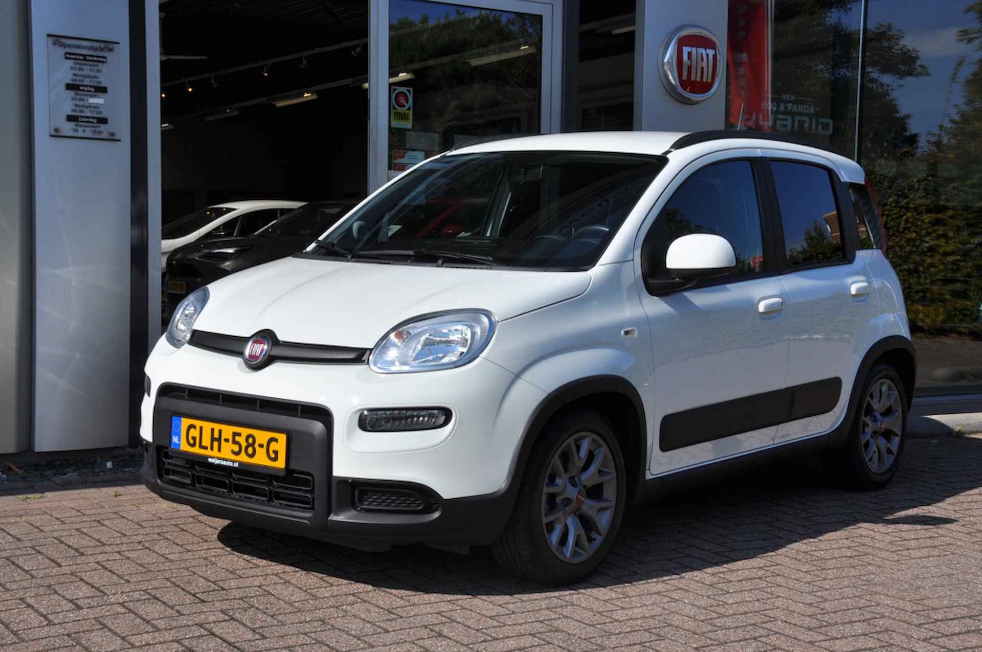 Fiat Panda BOVAG 40-Puntencheck