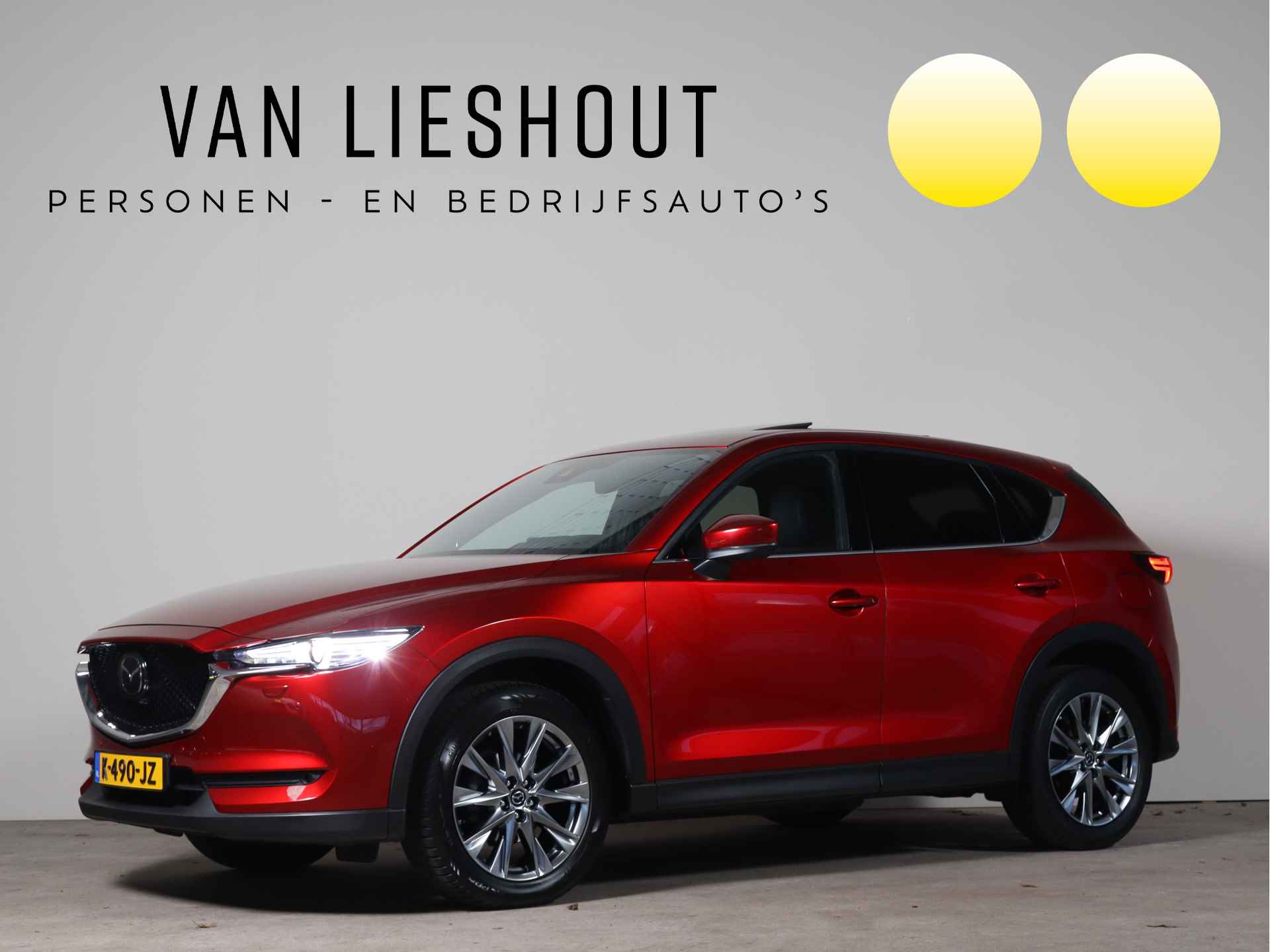 Mazda CX-5 BOVAG 40-Puntencheck