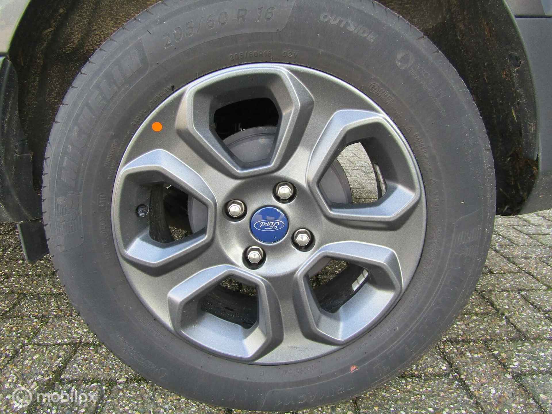 Ford EcoSport 1.0 EcoBoost Connected | PDC, 1e eigenaar - 18/20