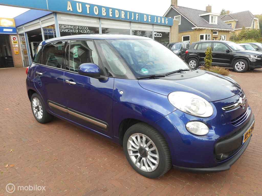 Fiat 500L BOVAG 40-Puntencheck