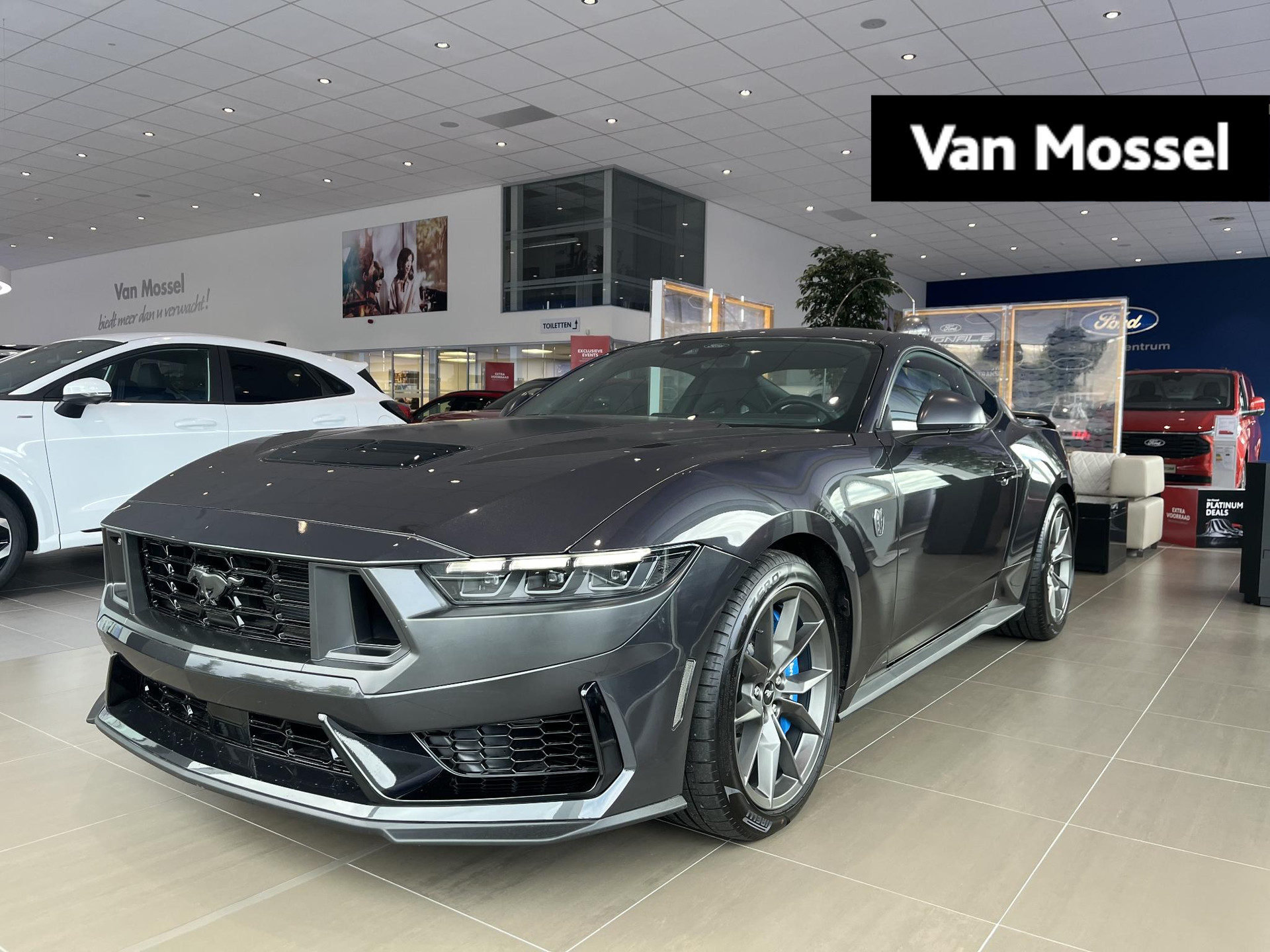 Ford Mustang Fastback 5.0 V8 Dark Horse | Voorraadauto | Recaro stoelen | Camera