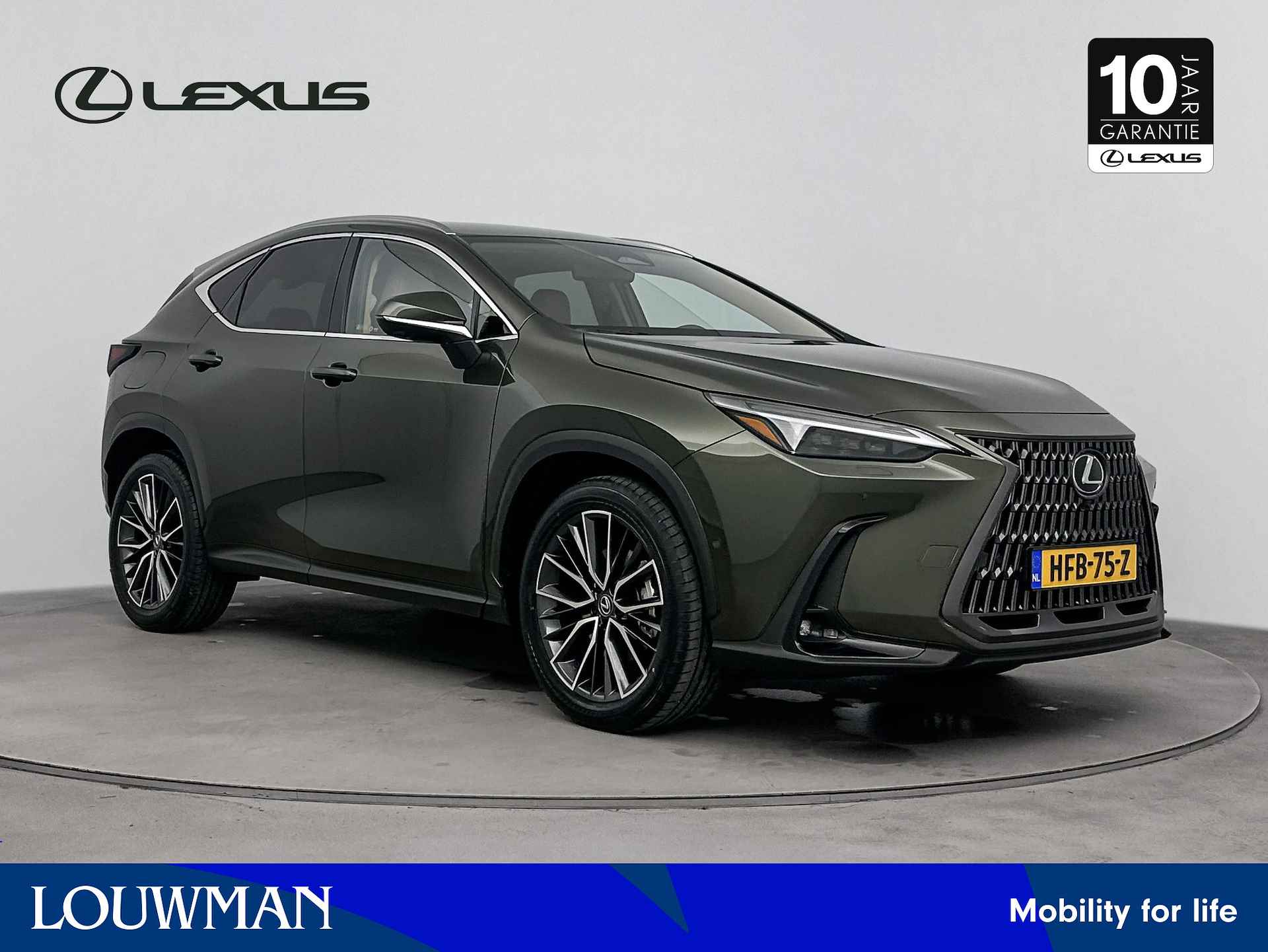 Lexus NX BOVAG 40-Puntencheck