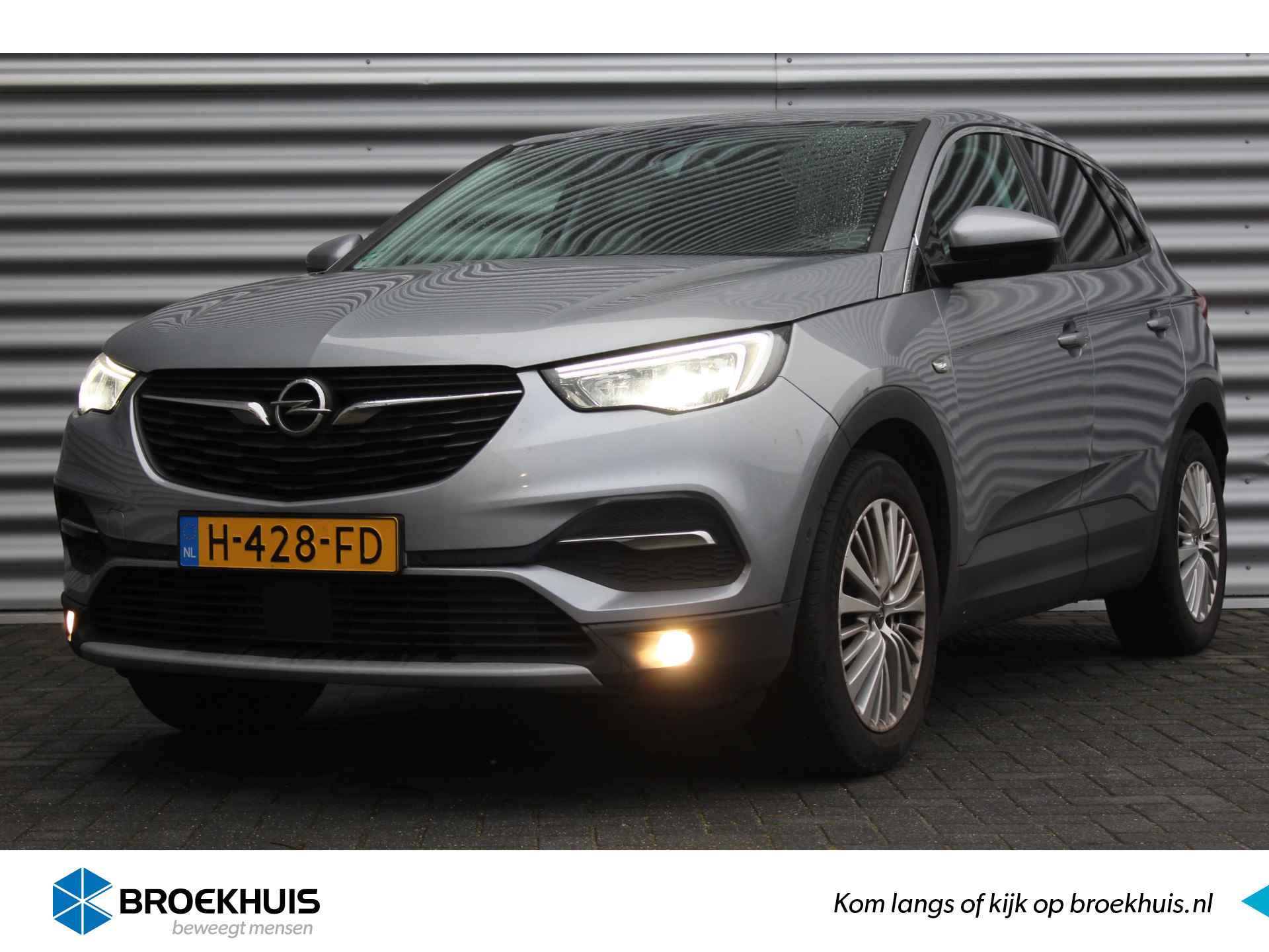 Opel Grandland X BOVAG 40-Puntencheck