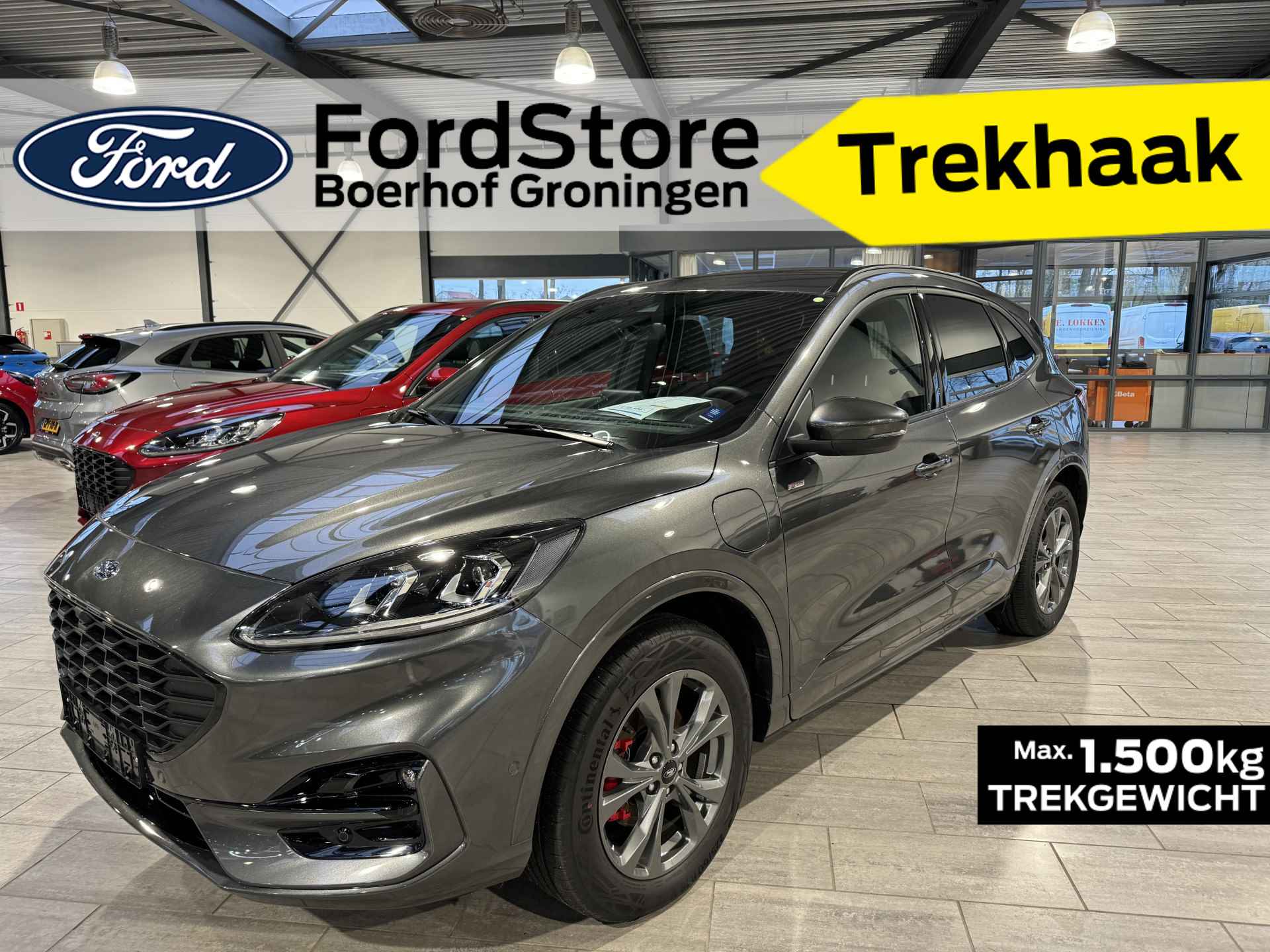 Ford Kuga BOVAG 40-Puntencheck