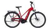 PEGASUS Premio EVO 5F Lite 750 Mixed Hyper Red/black Matt 28" 50cm 2024