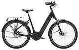 TREK District+ 4 Lowstep Dames TREK BLACK SATIN M 50cm M 2024