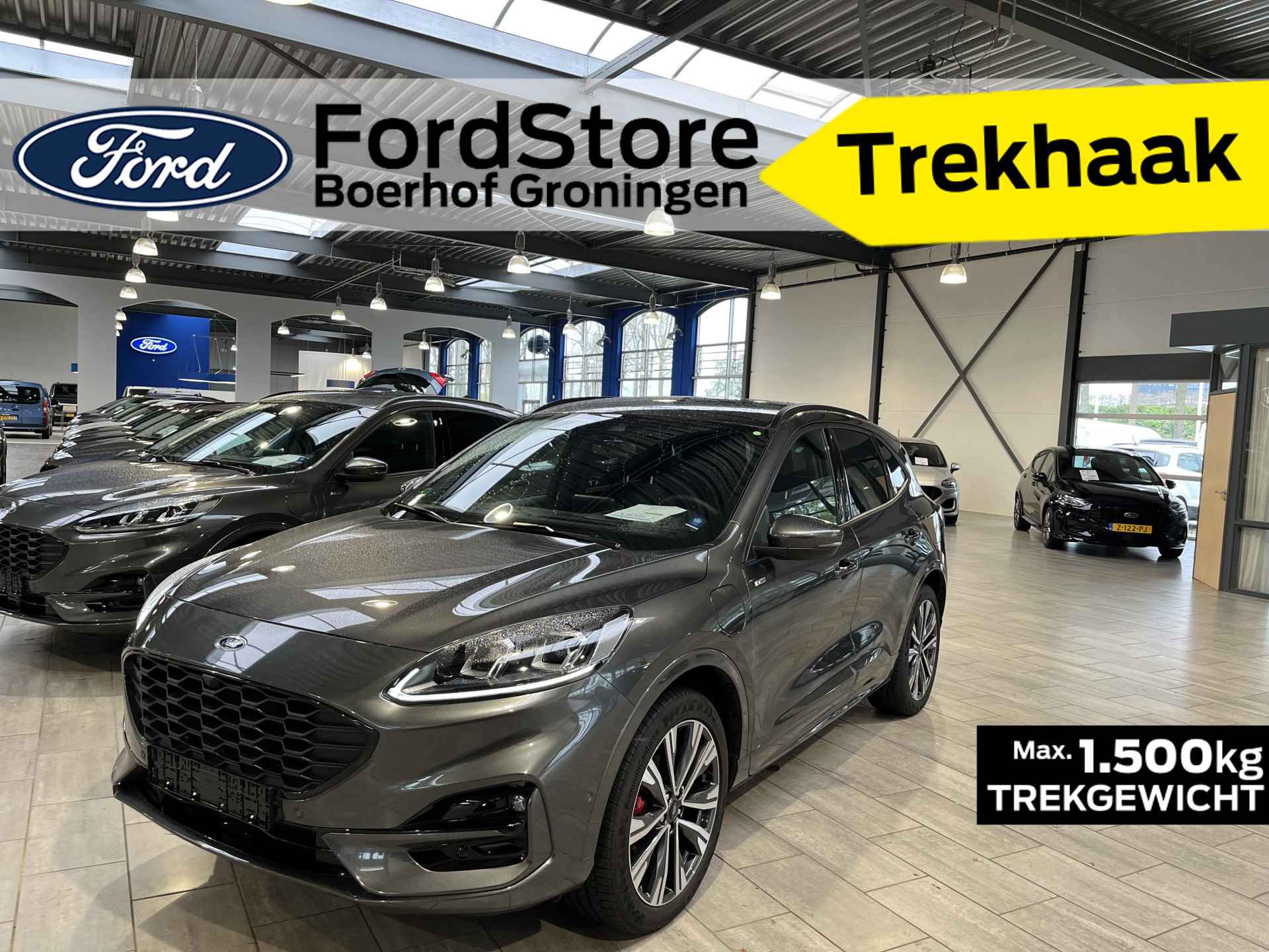 Ford Kuga BOVAG 40-Puntencheck