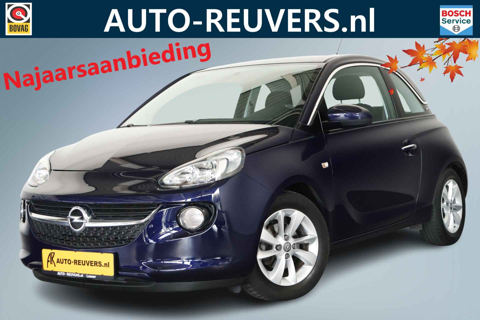 Opel Adam BOVAG 40-Puntencheck