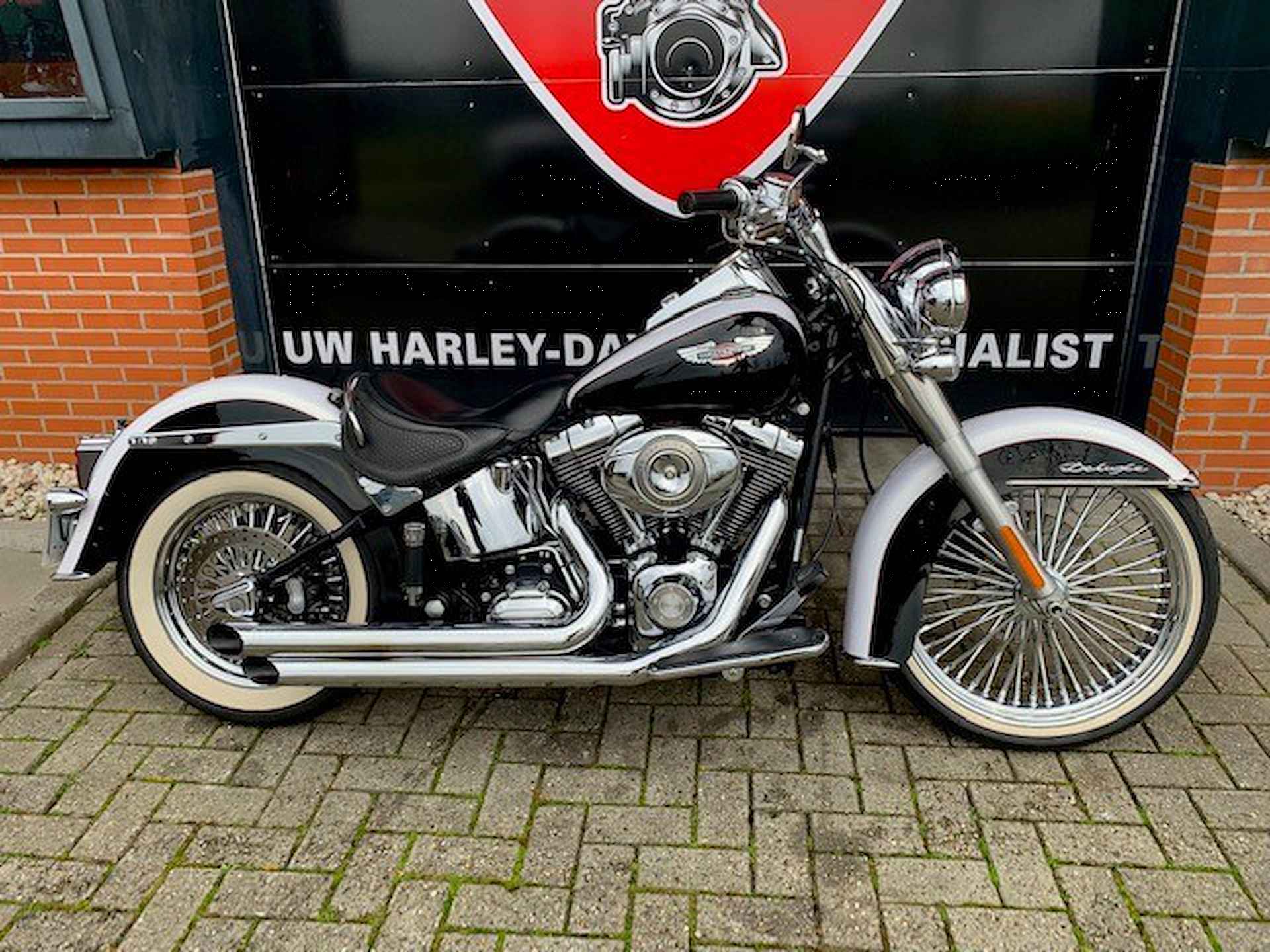 Harley-Davidson FLSTN SOFTAIL DE LUXE - 2/11