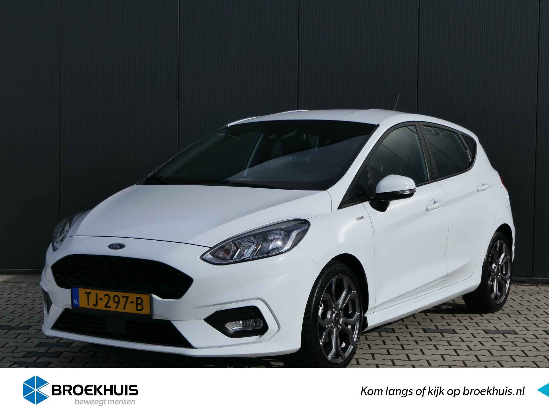 Ford Fiesta BOVAG 40-Puntencheck