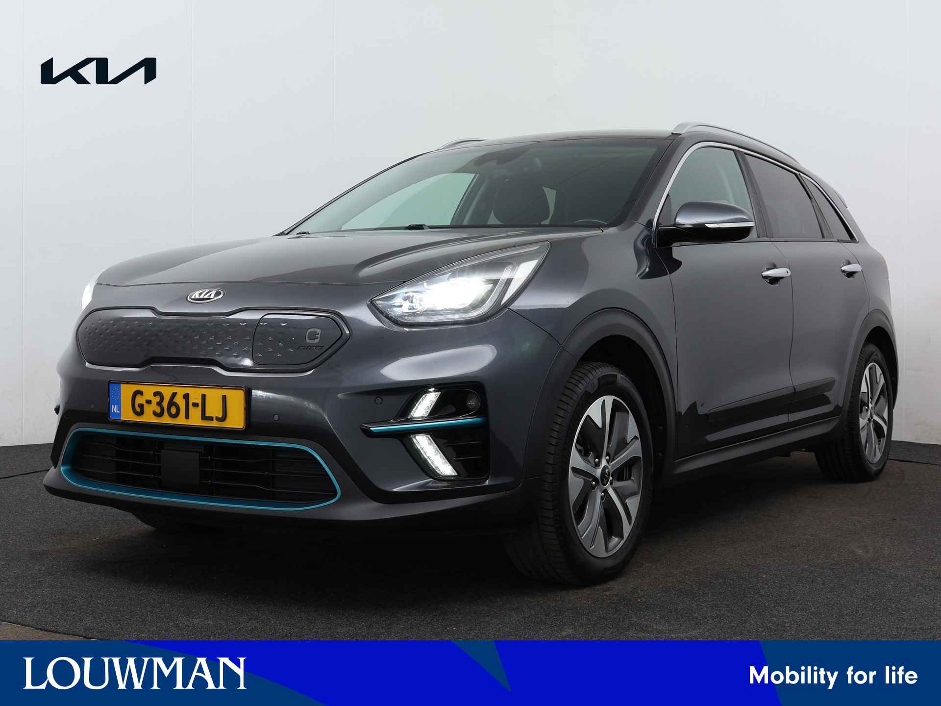 Kia e-Niro BOVAG 40-Puntencheck