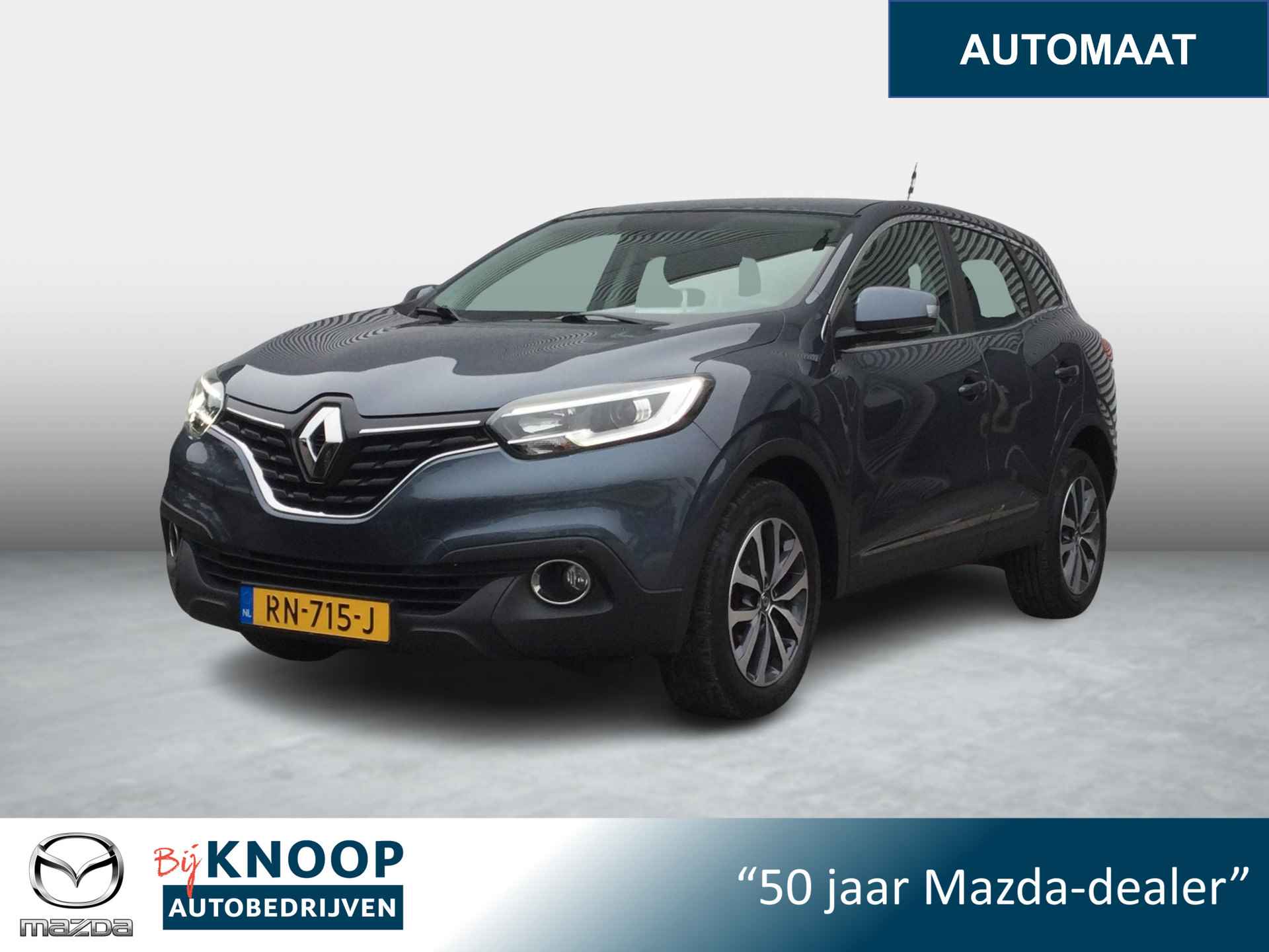 Renault Kadjar BOVAG 40-Puntencheck