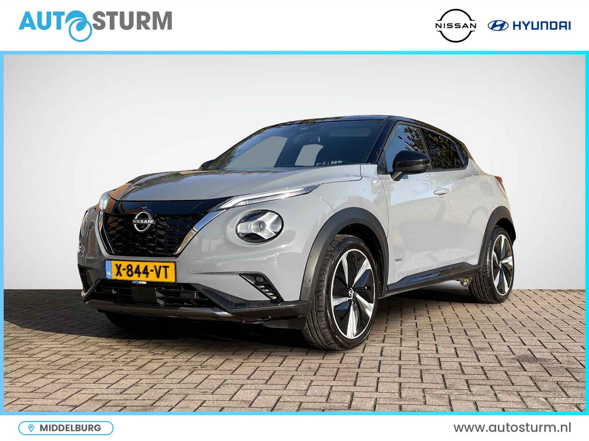 Nissan Juke BOVAG 40-Puntencheck