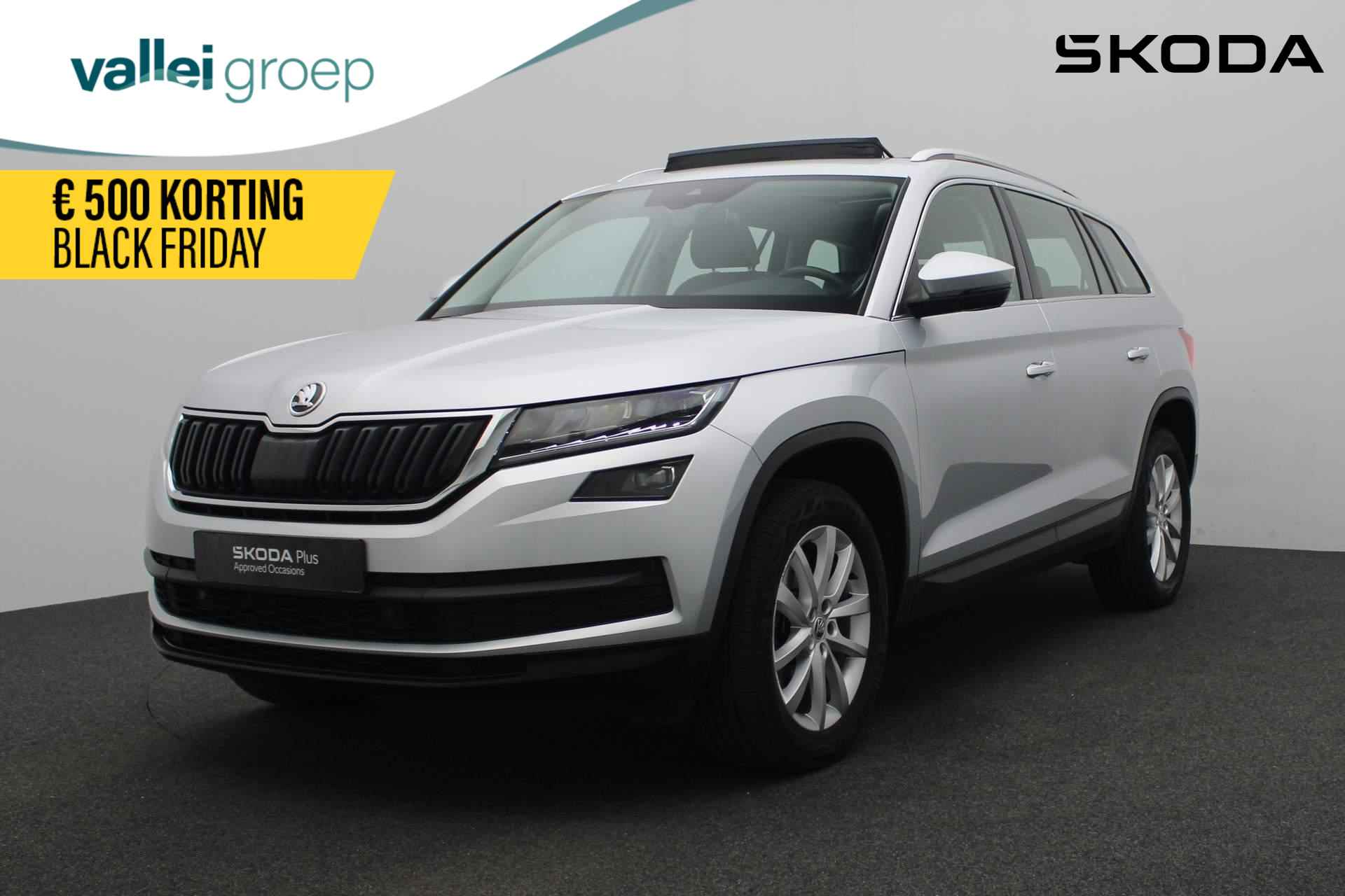 Škoda Kodiaq BOVAG 40-Puntencheck