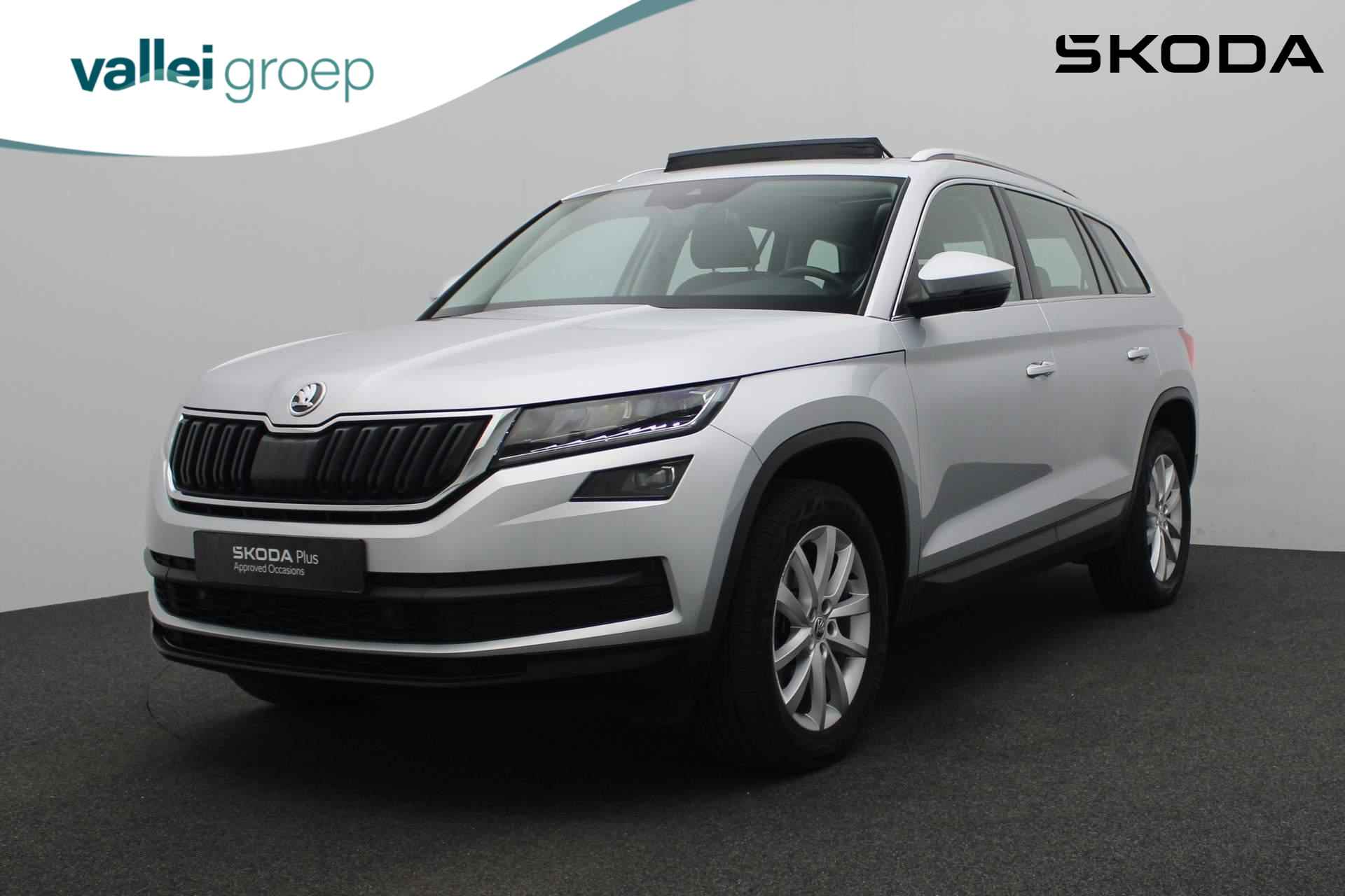 Škoda Kodiaq BOVAG 40-Puntencheck