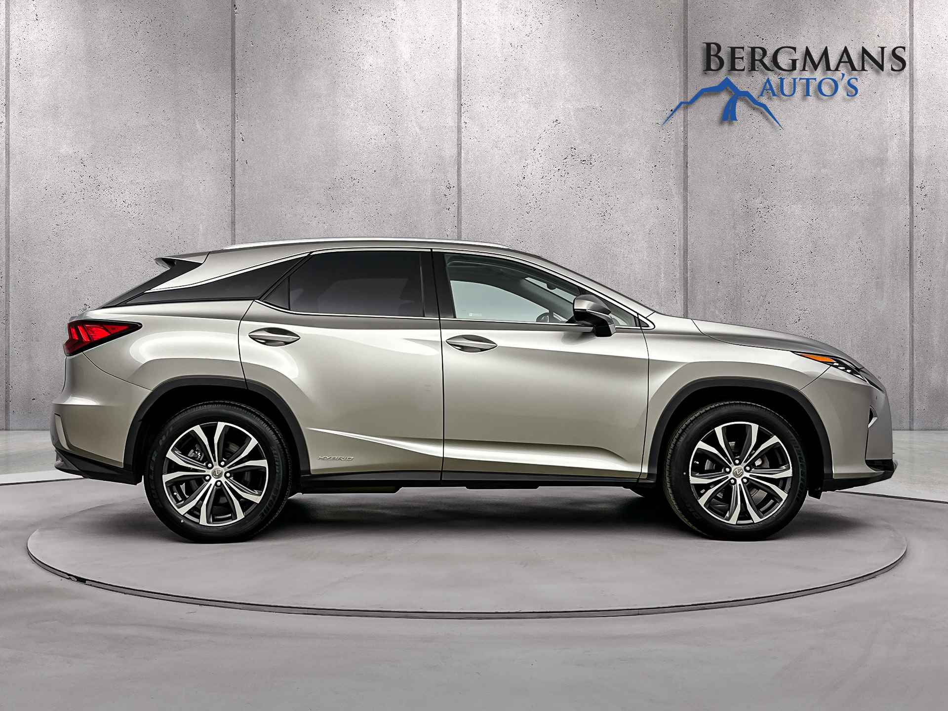 Lexus RX 450h 4WD Luxury Line // TREKHAAK // ZONNEDAK // 1e EIGENAAR // - 9/33