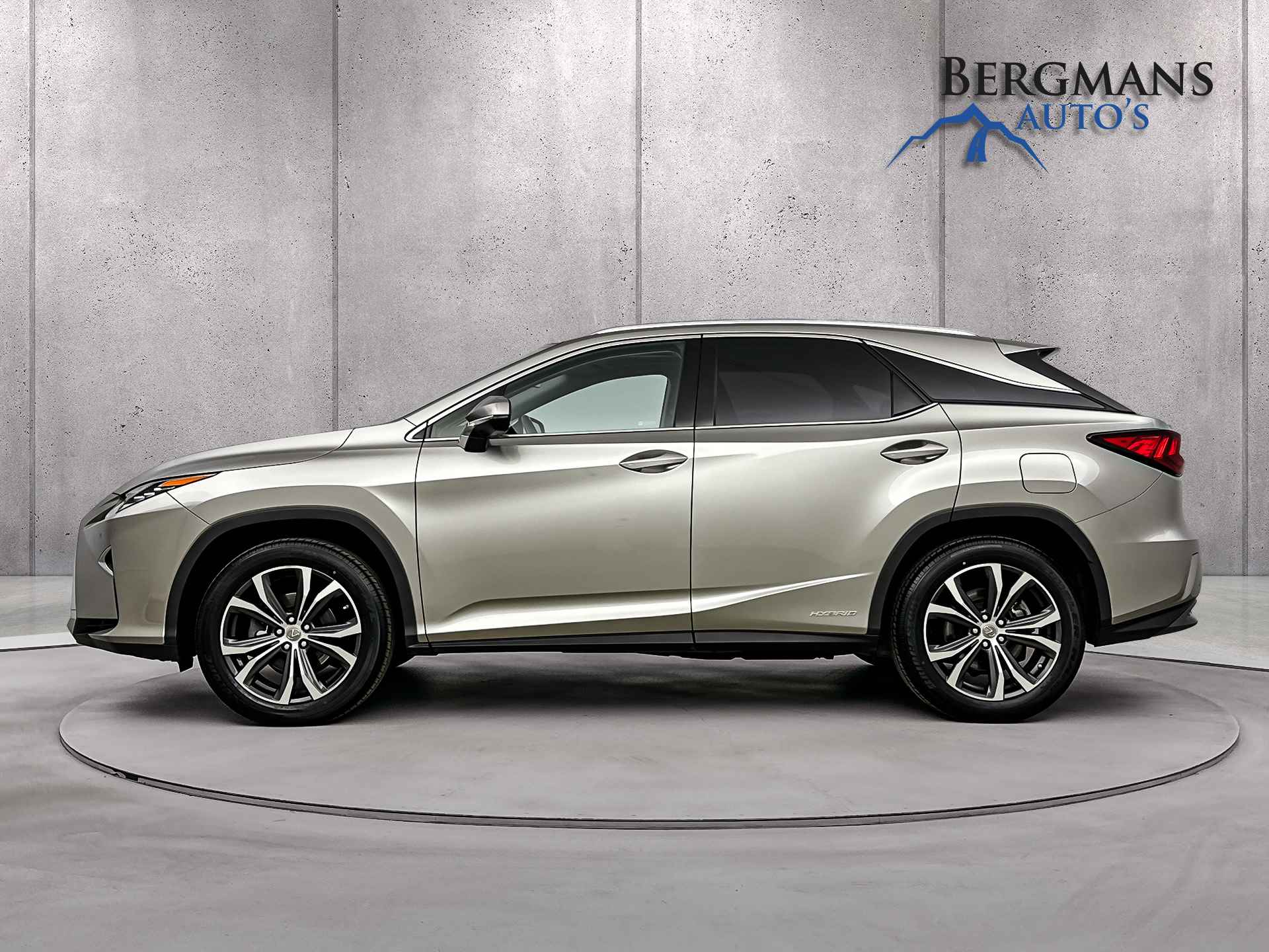 Lexus RX 450h 4WD Luxury Line // TREKHAAK // ZONNEDAK // 1e EIGENAAR // - 10/33