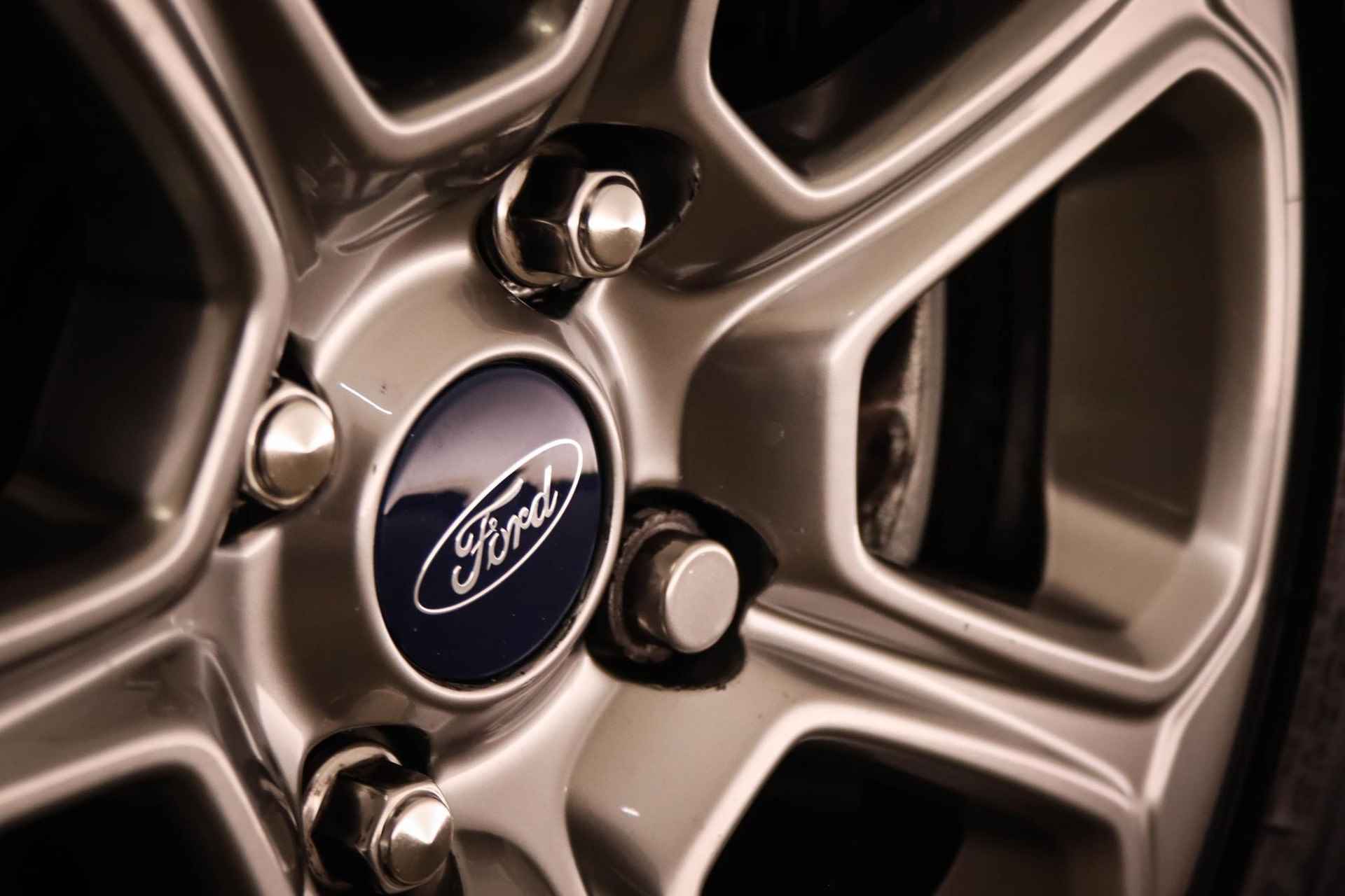 Ford EcoSport 1.0 EcoBoost Titanium | HALF LEDER | NAVIGATIE | CAMERA | TREKHAAK AFN. | DEALER ONDERHOUDEN - 20/44