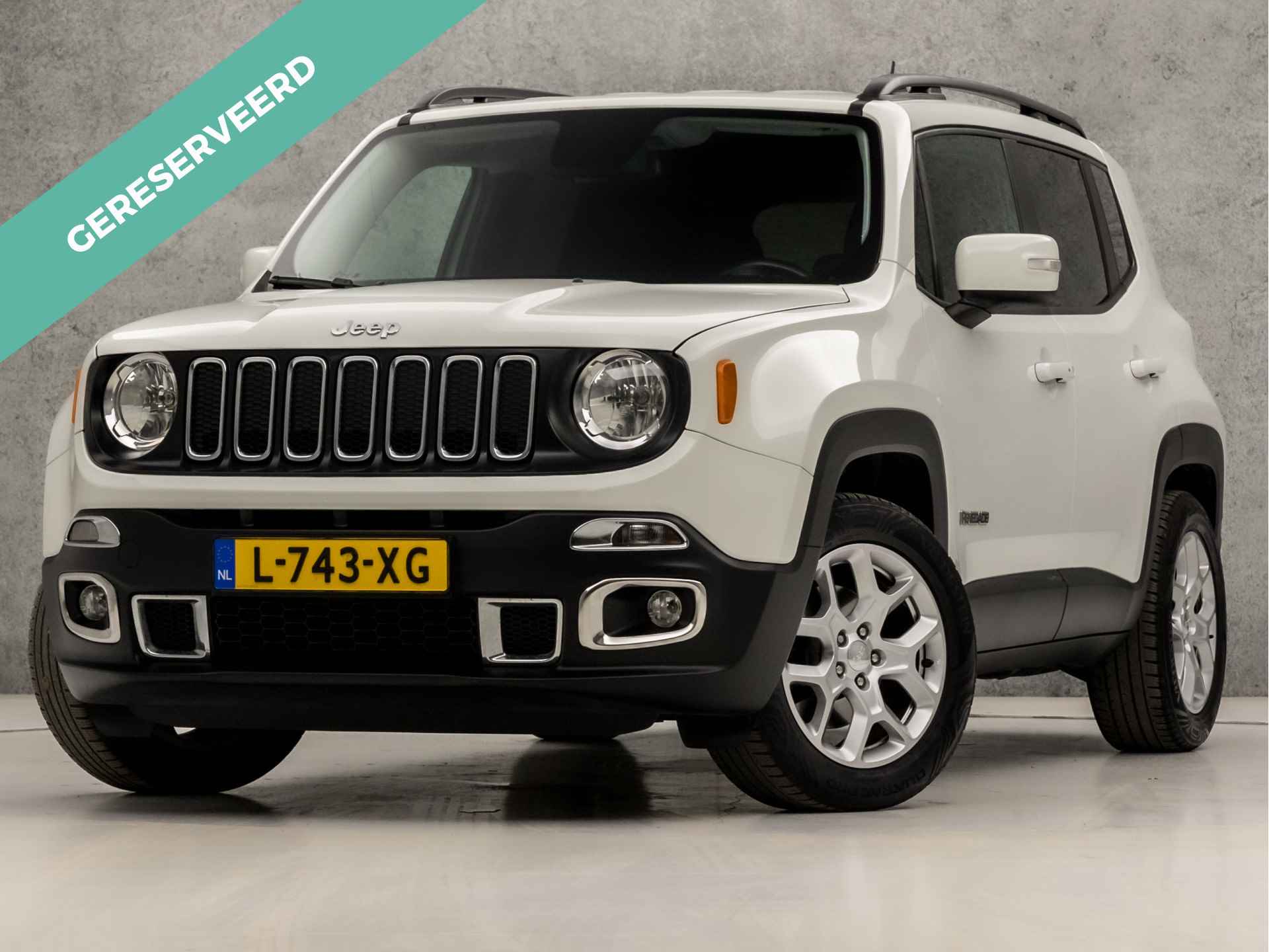 Jeep Renegade BOVAG 40-Puntencheck