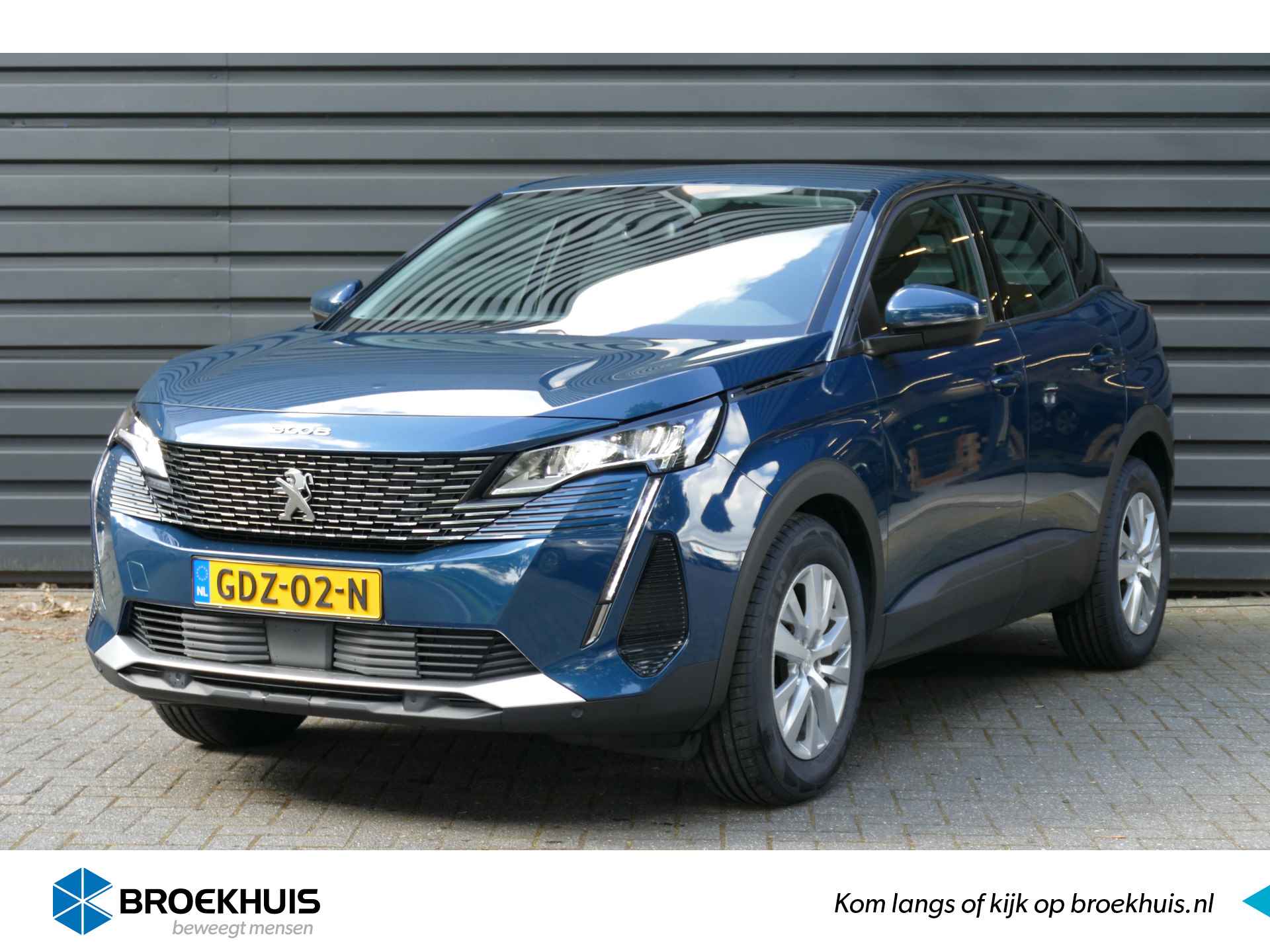 Peugeot 3008 BOVAG 40-Puntencheck