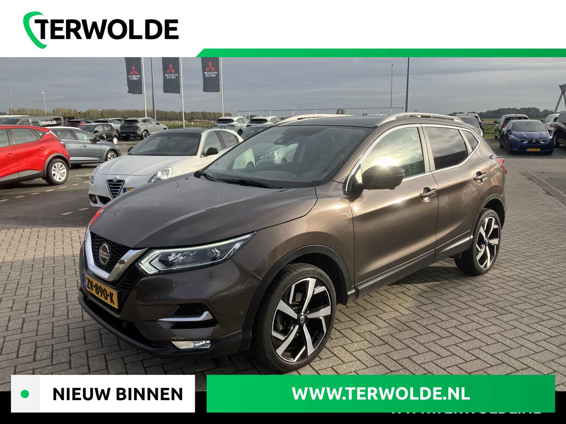 Nissan Qashqai BOVAG 40-Puntencheck