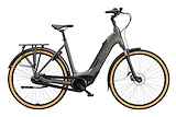 SPARTA C-Grid Energy Dames TiItan Grey Gloss 51cm 2025