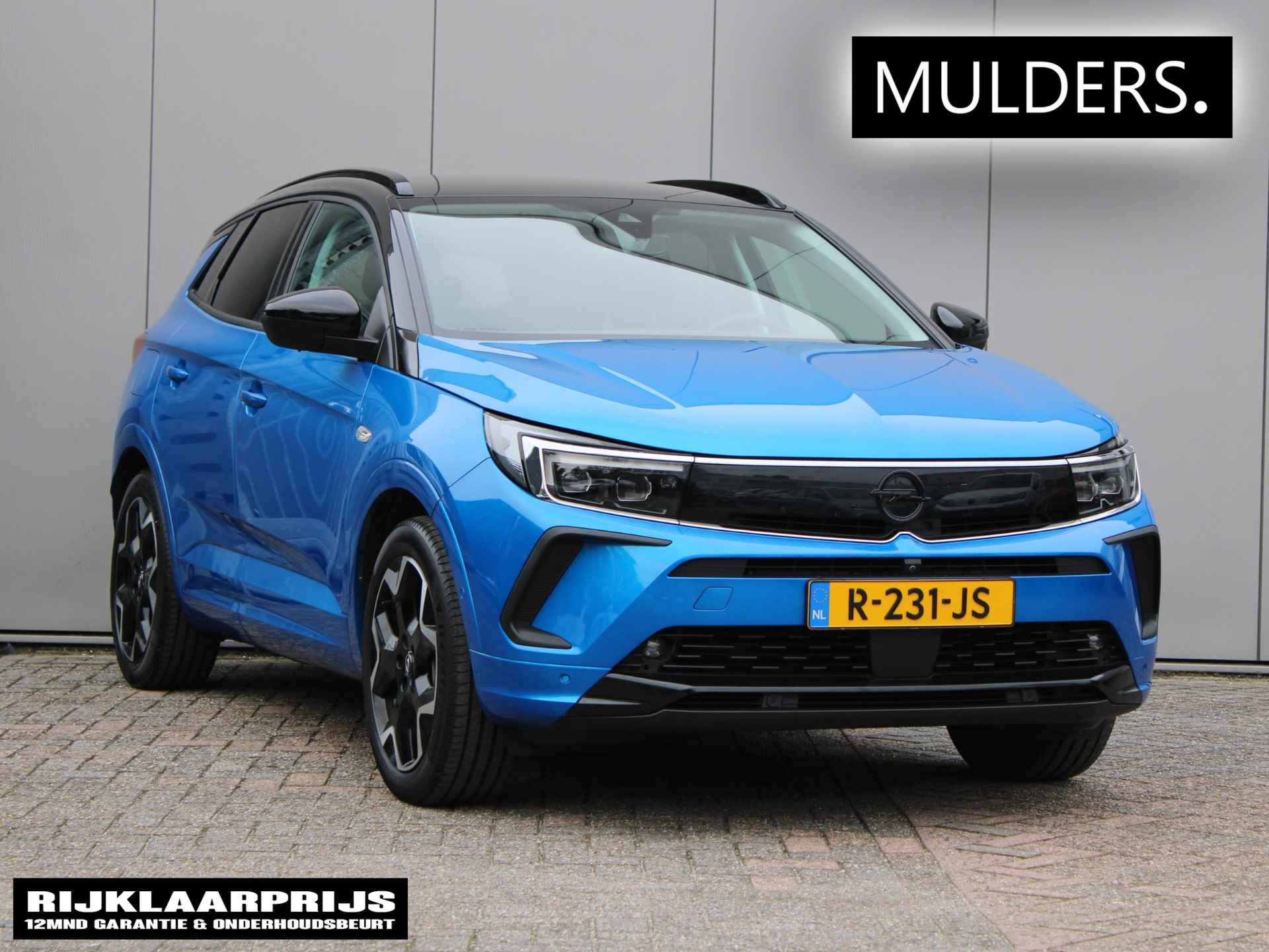 Opel Grandland X BOVAG 40-Puntencheck