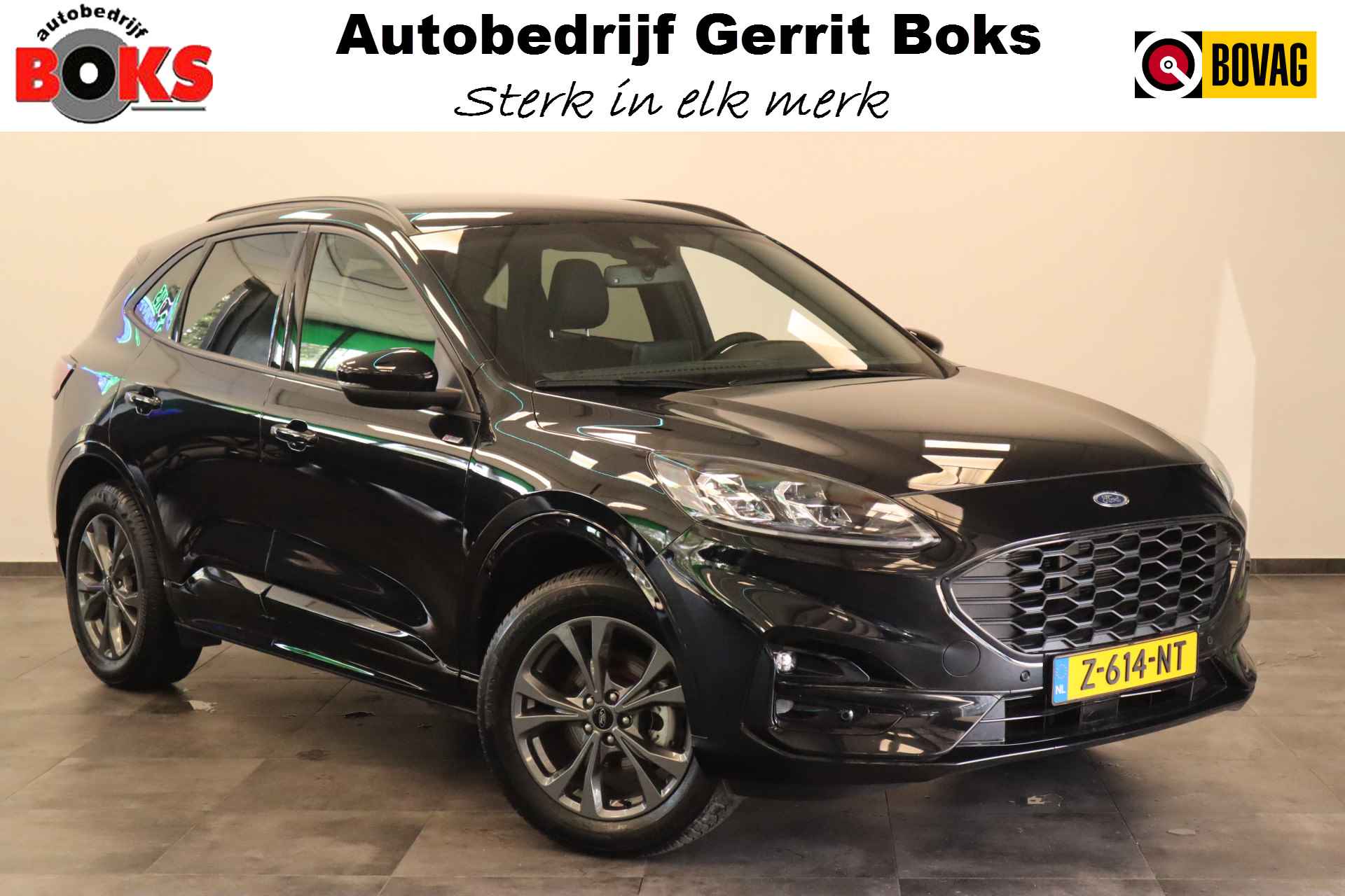 Ford Kuga BOVAG 40-Puntencheck