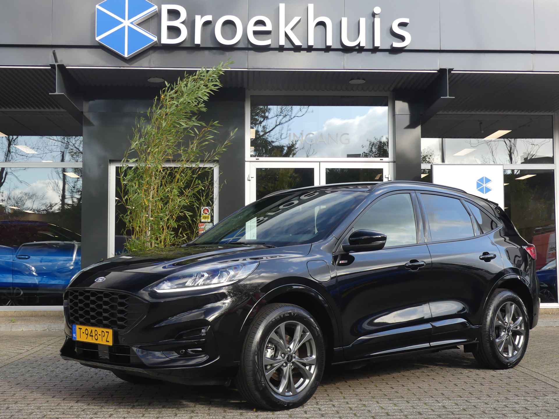 Ford Kuga BOVAG 40-Puntencheck