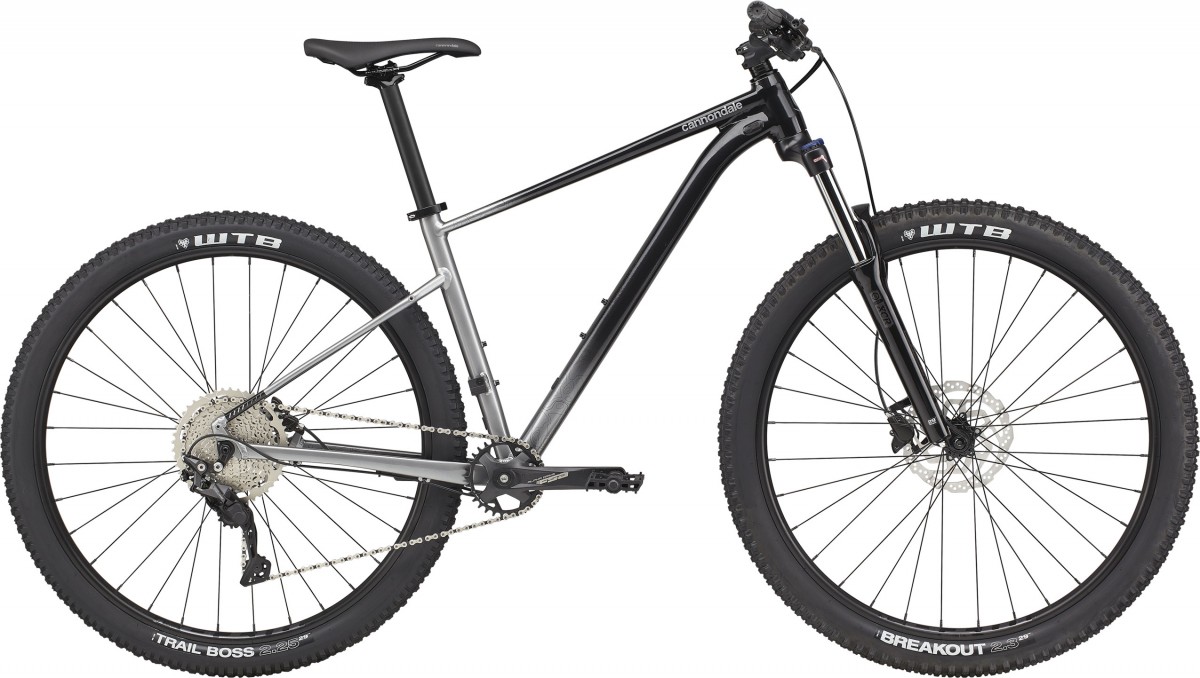 CANNONDALE 29 M Trail SE 4 GRY LG Heren Gry Lg LG 2021 bij viaBOVAG.nl