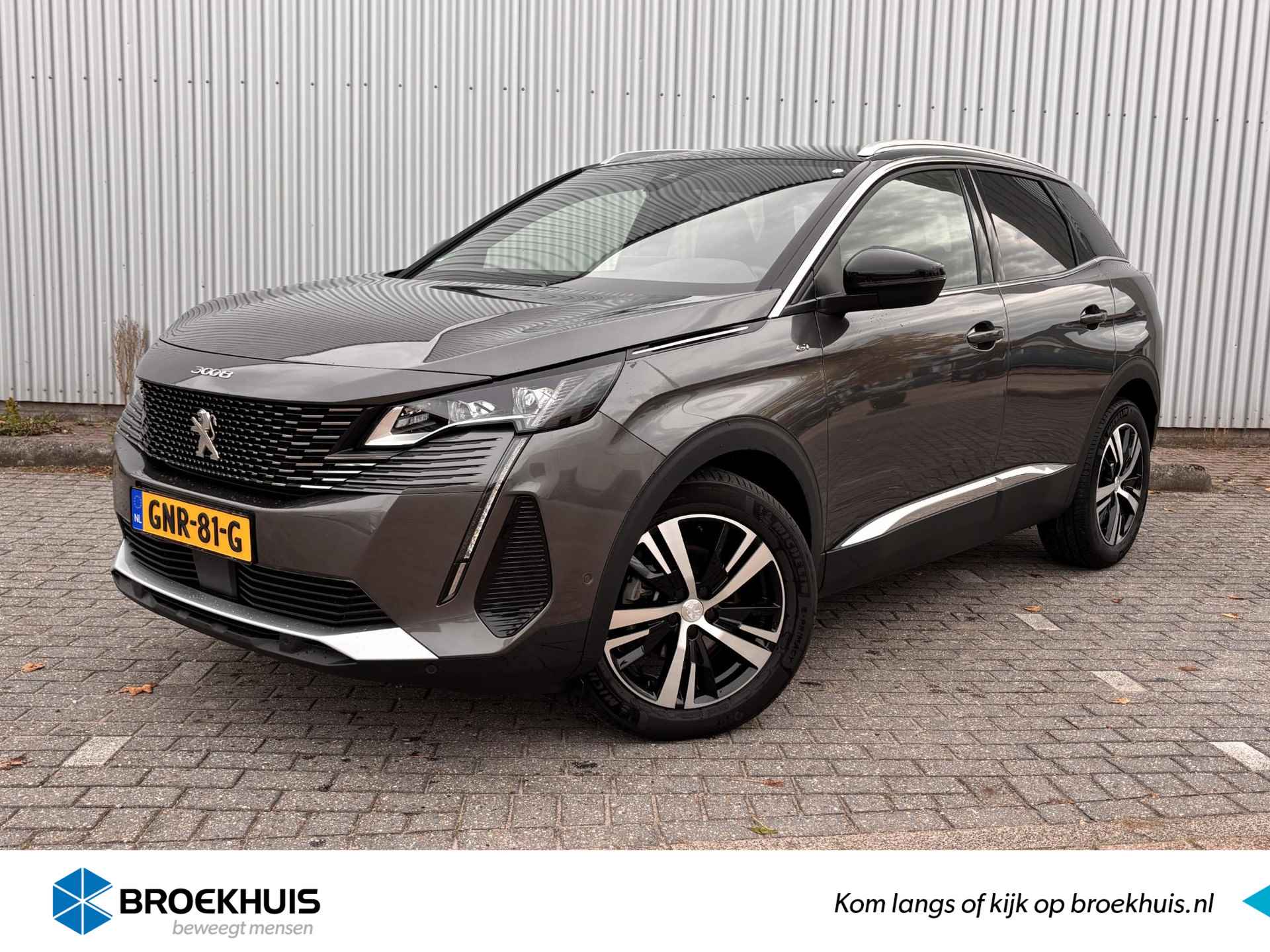 Peugeot 3008 BOVAG 40-Puntencheck